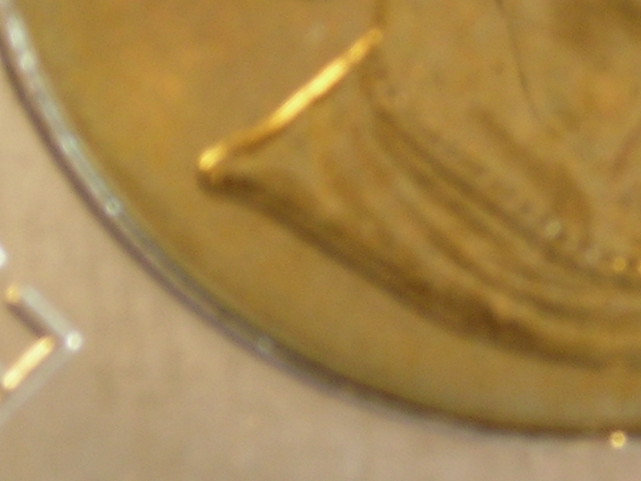 DSCN5904.JPG