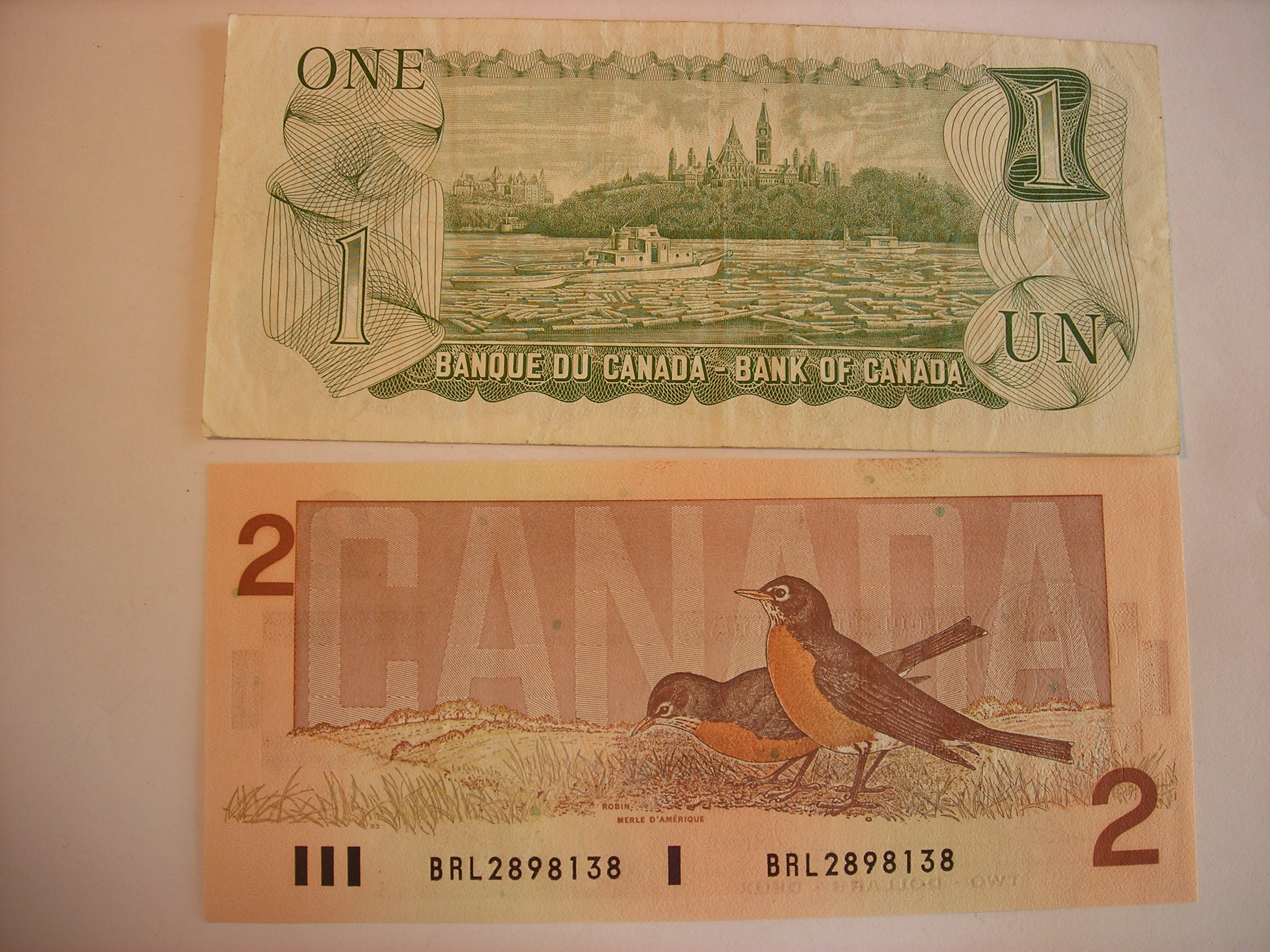 DSCN5984.JPG
