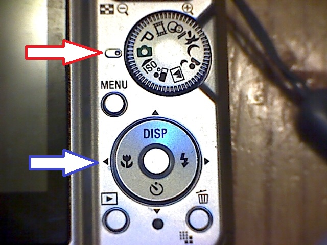 photo 1.jpg