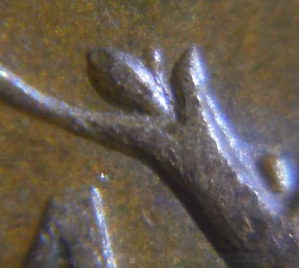 1 Cent 1964- Une épine ou un bourgeon extra-3.JPG