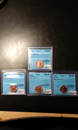 73497924_402935943719449_3468491334845726720_n.jpg