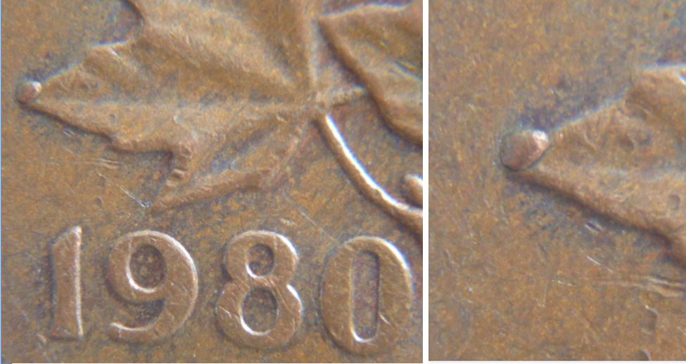 1 Cent 1980-Éclat du coin au bout feuille gauche.JPG