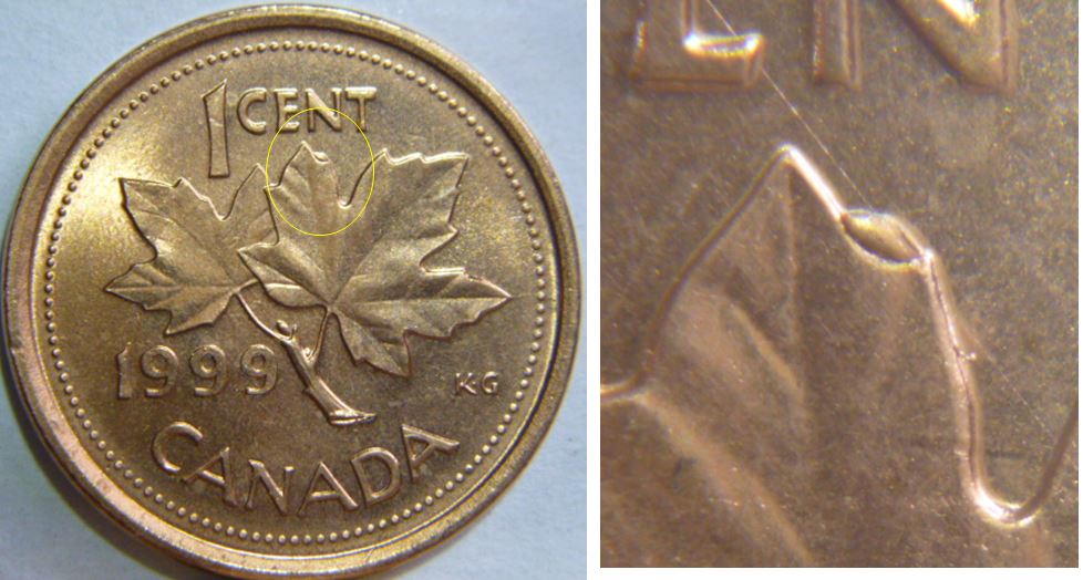 1 Cent 1999 - Éclat coin sur feuille droite.JPG