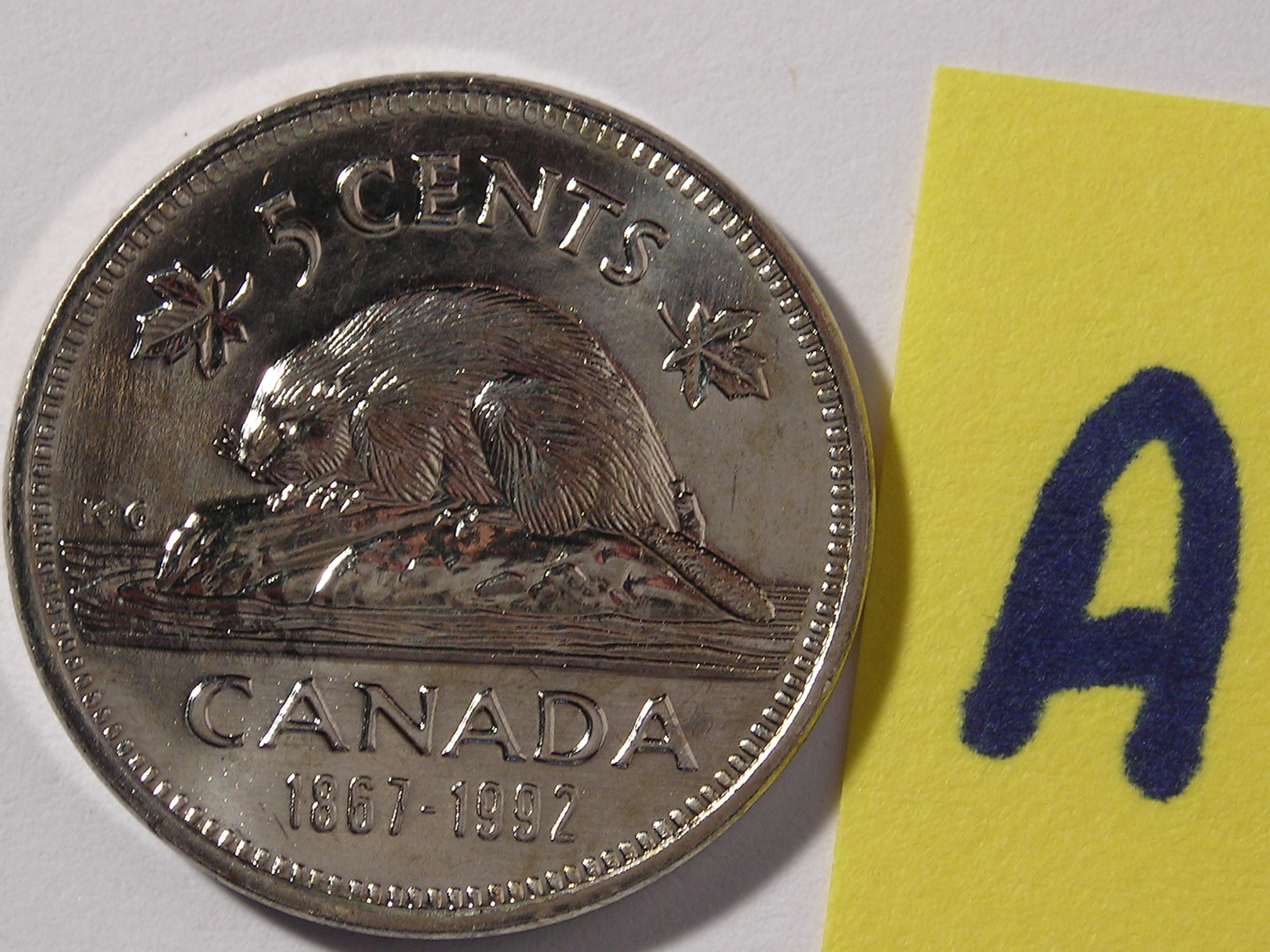 DSCN6178.JPG