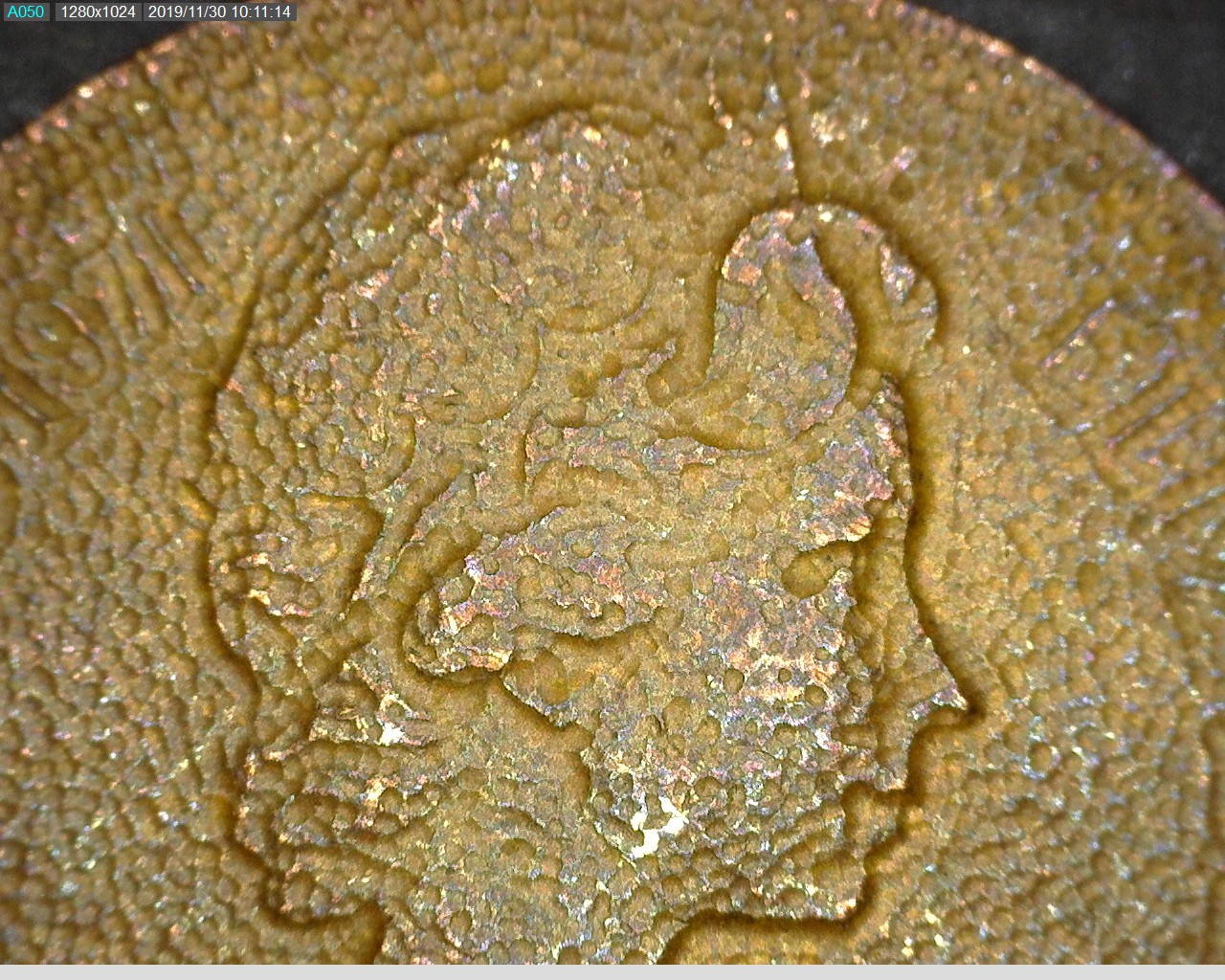 Penny 1971 B.jpg