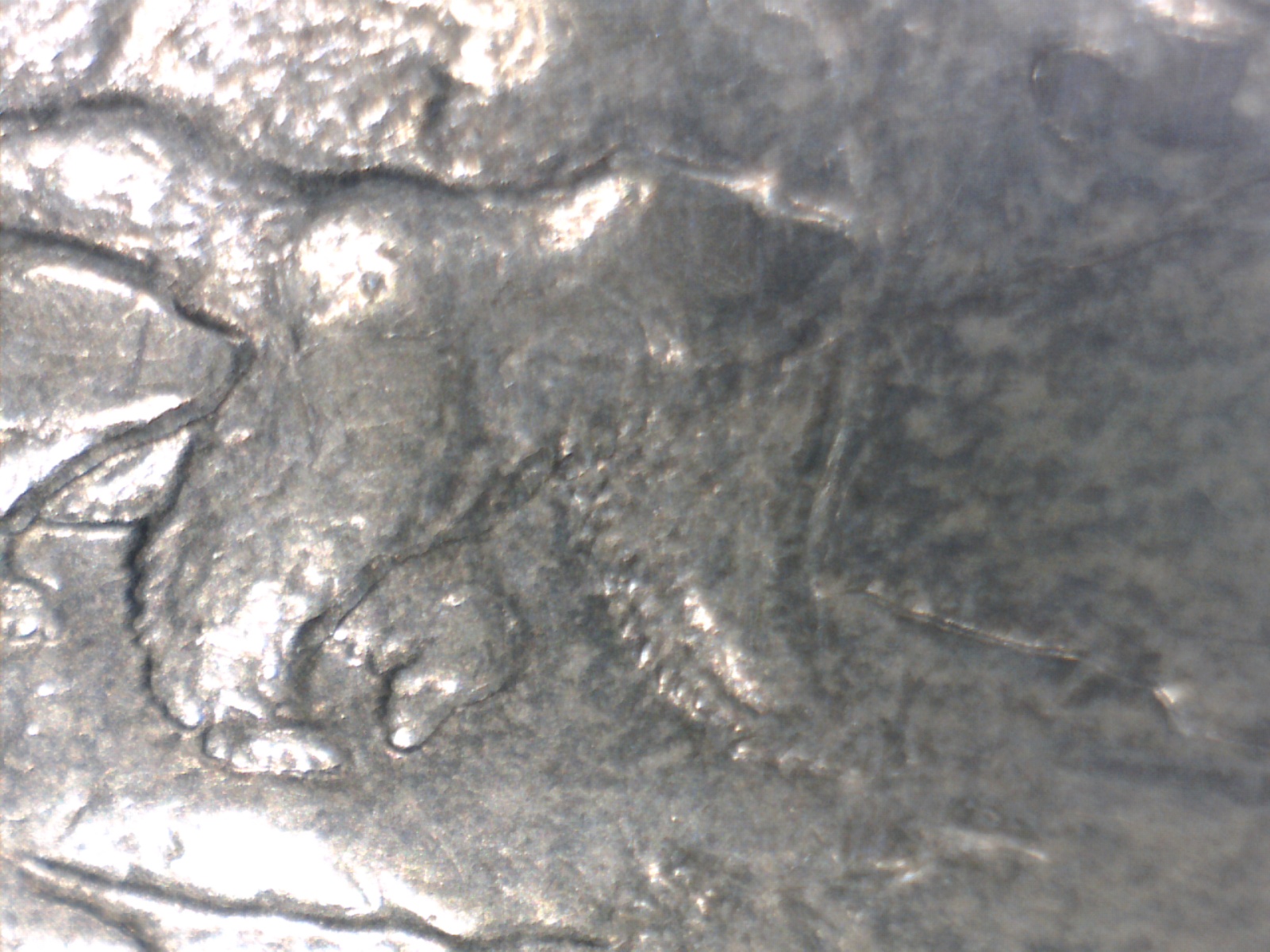 Image175.jpg