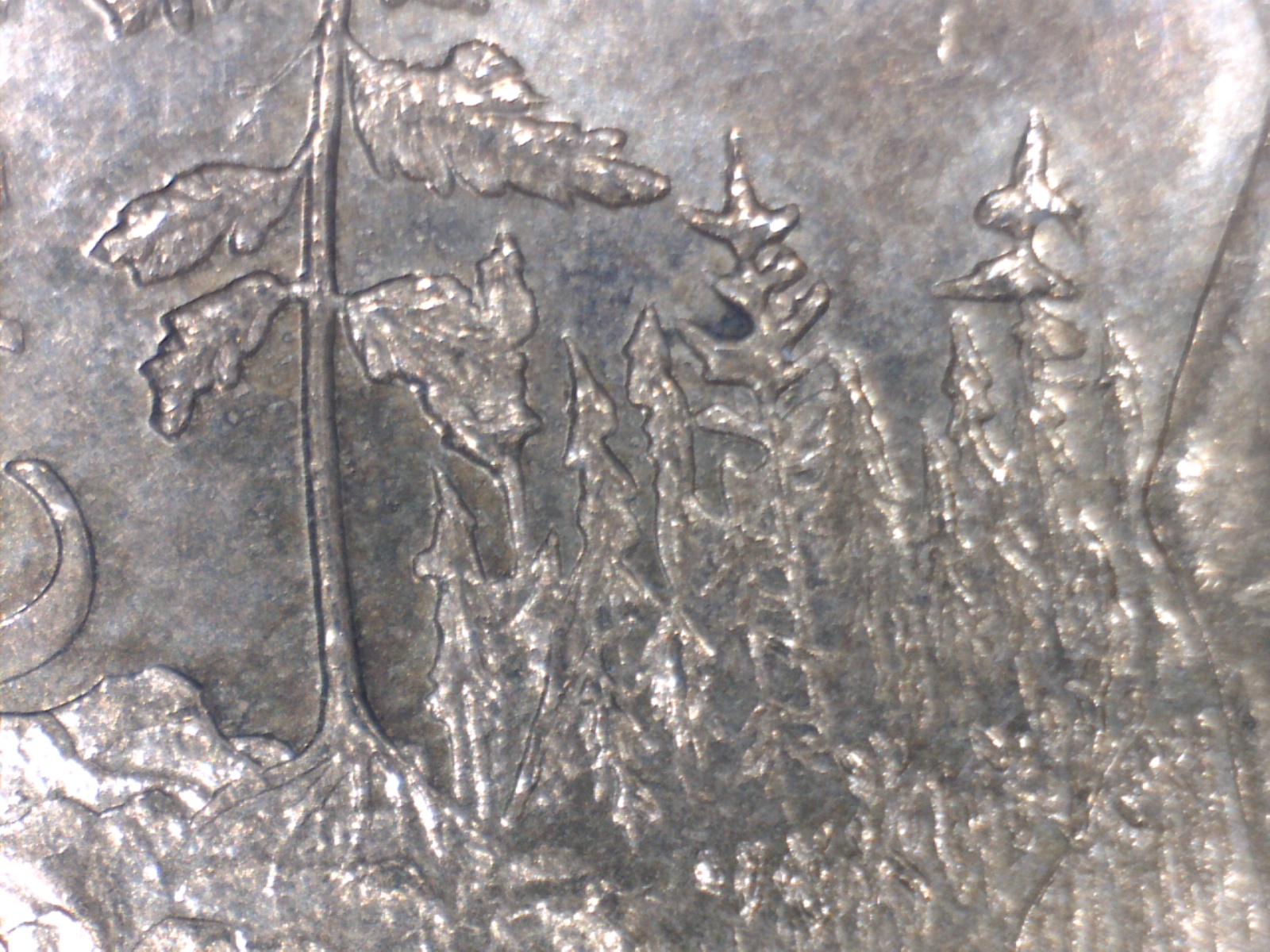 Image236.jpg