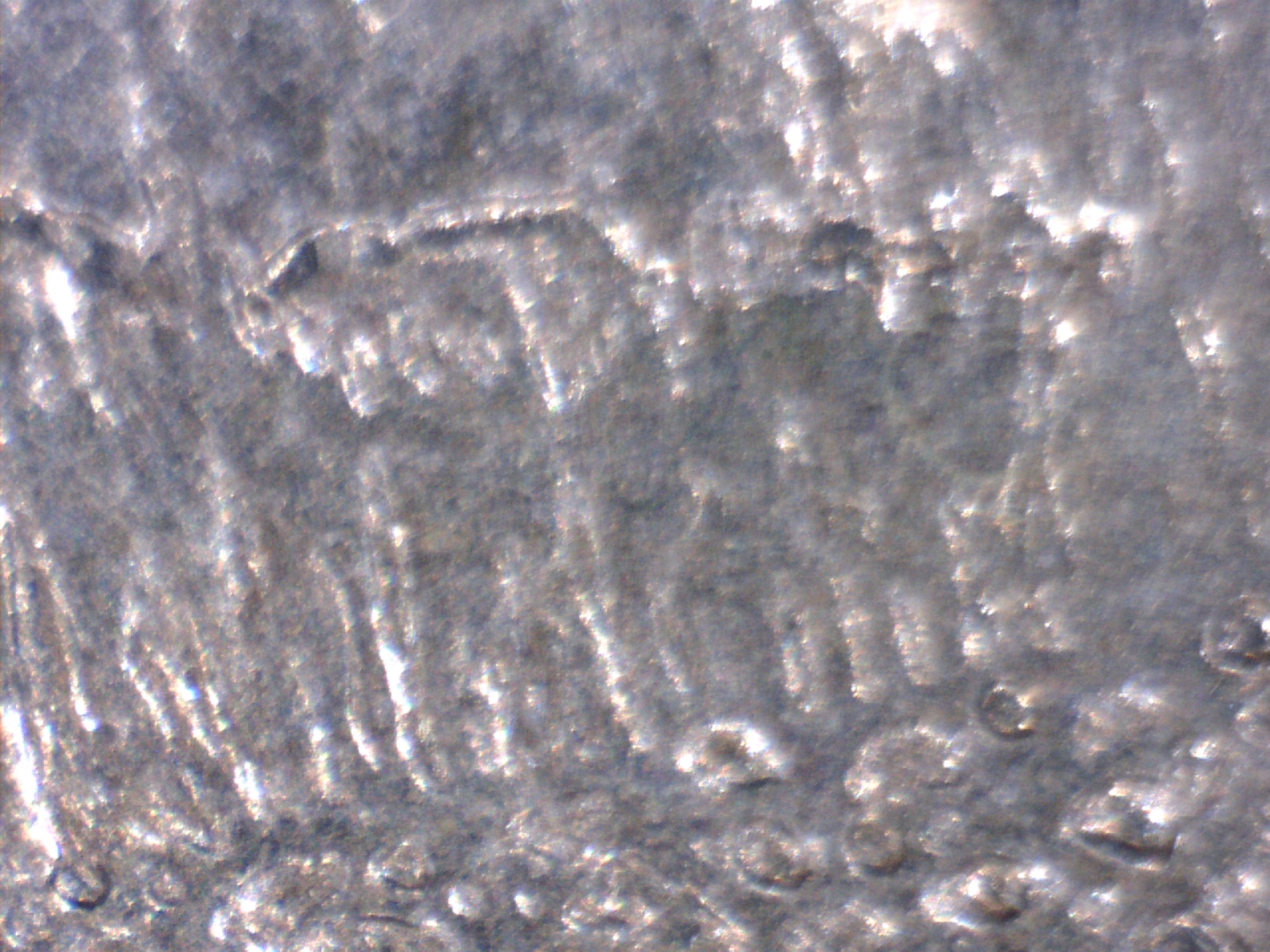 Image239.jpg