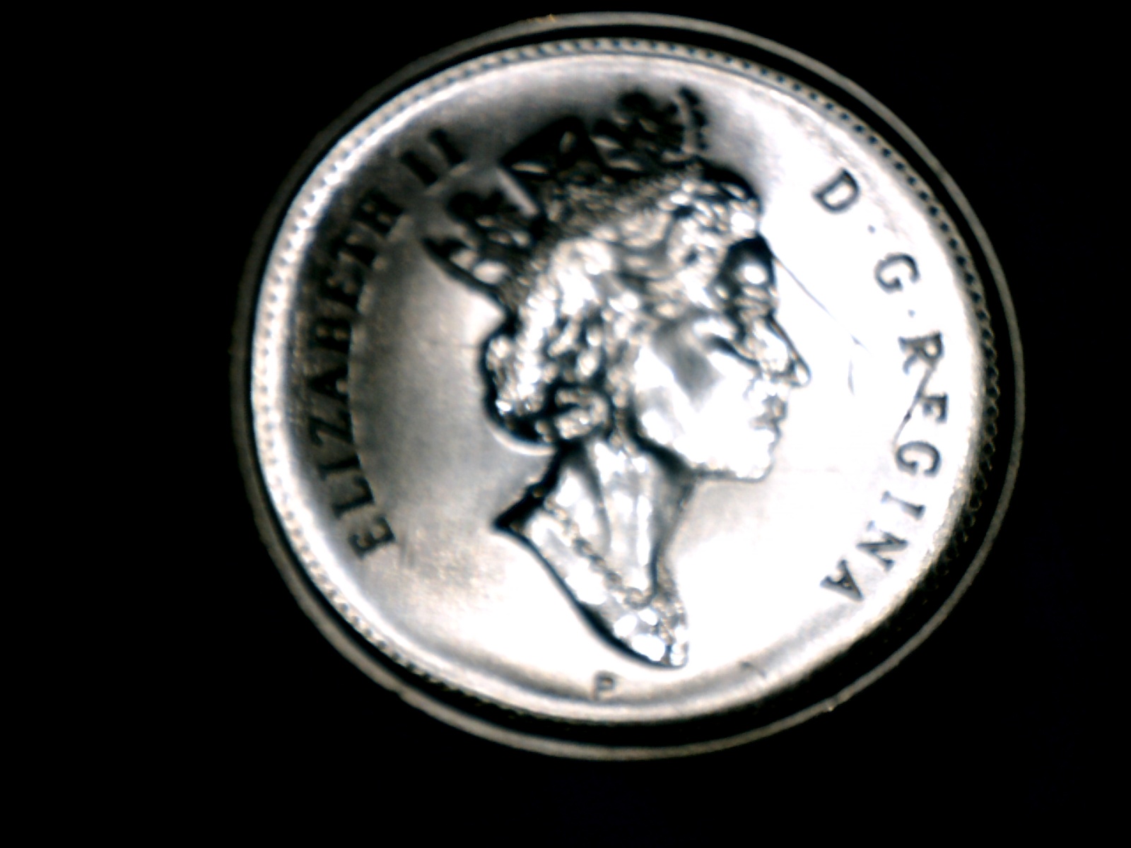 Image241.jpg