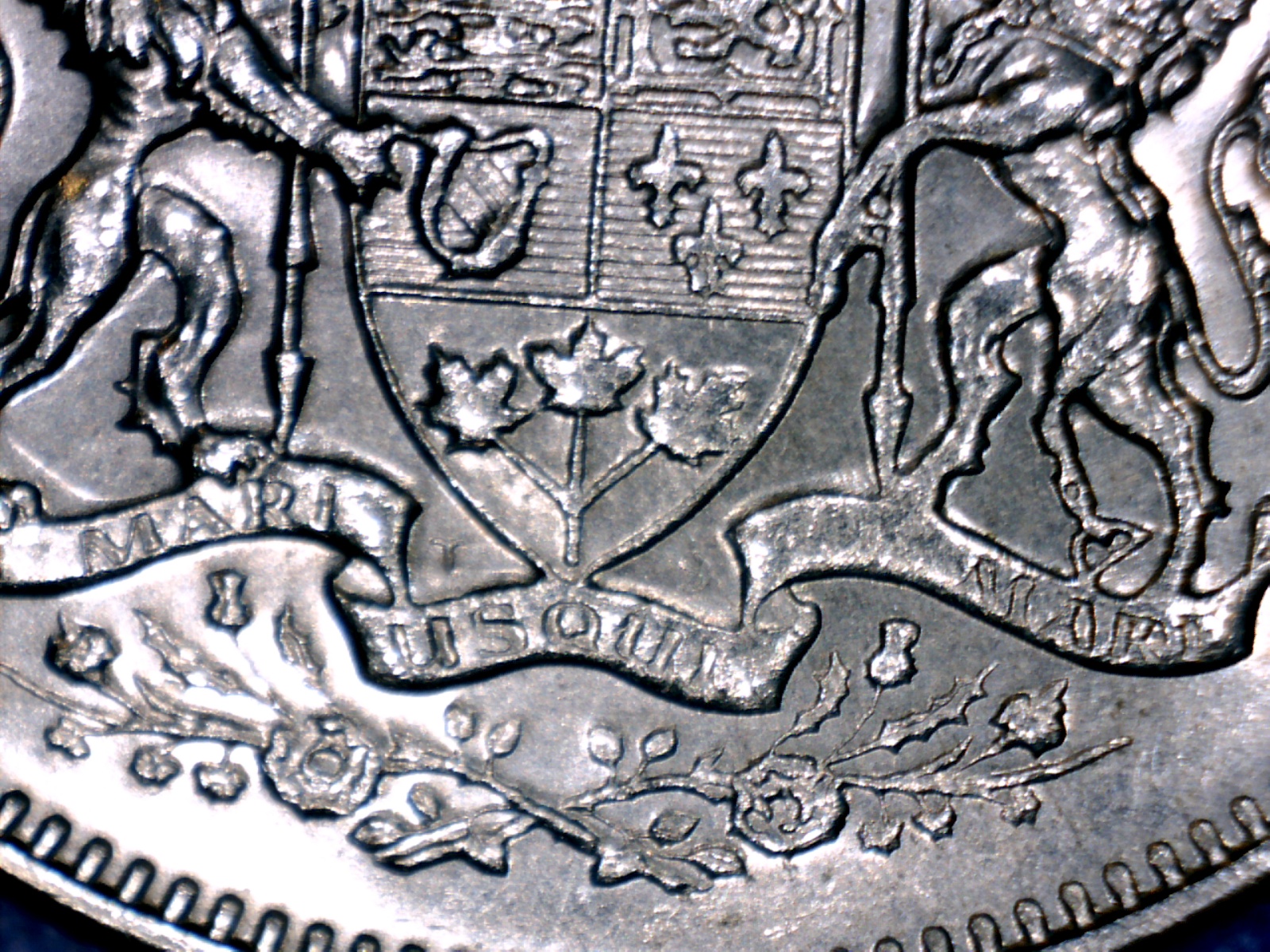 Image255.jpg