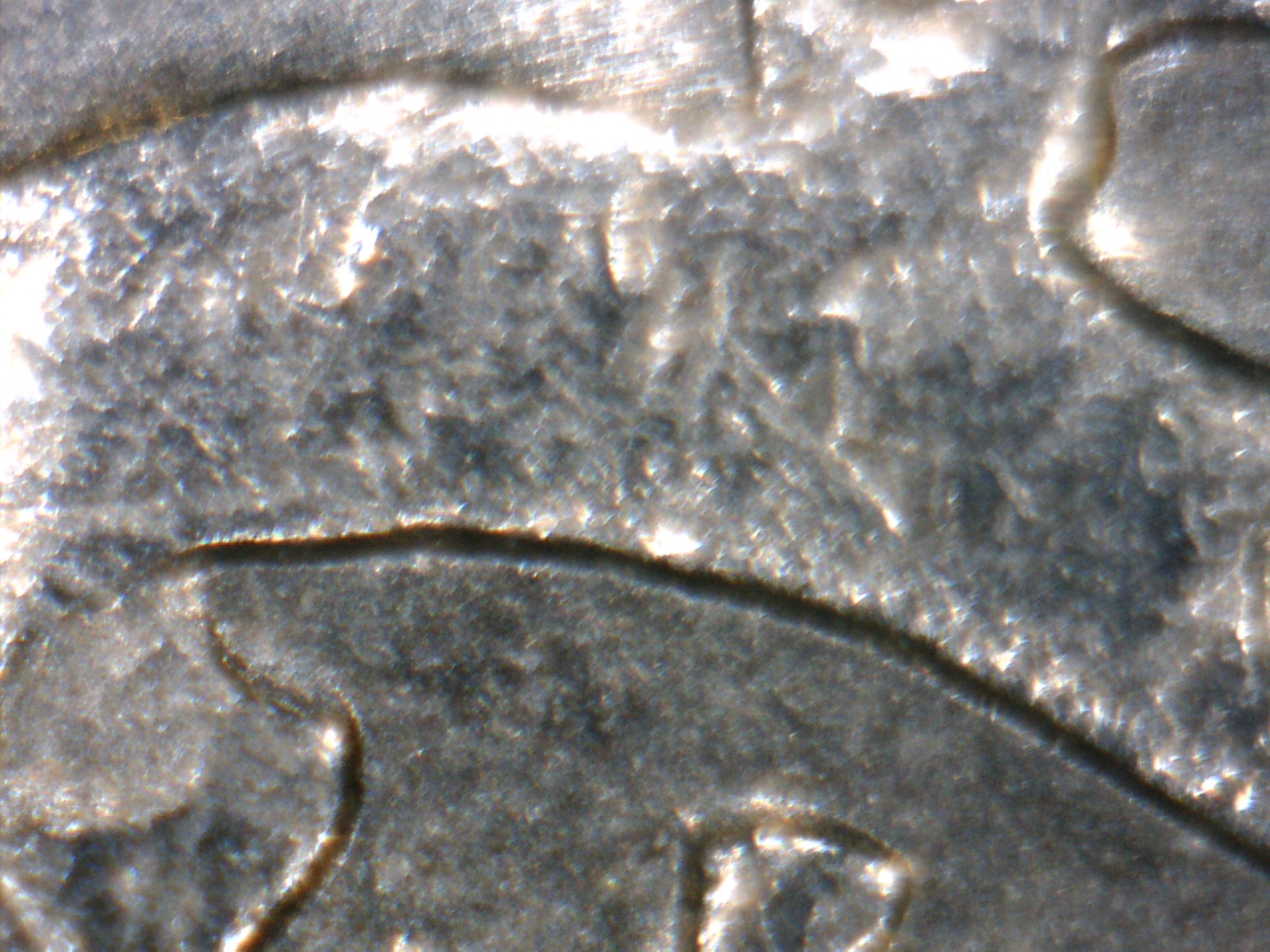 Image254.jpg