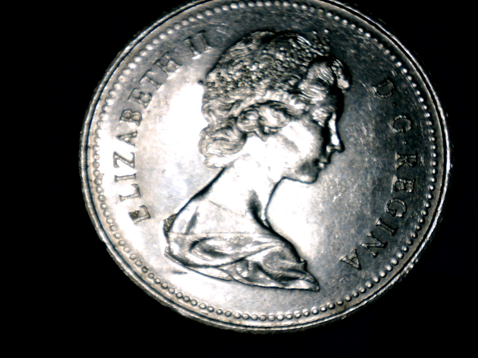 Image262.jpg
