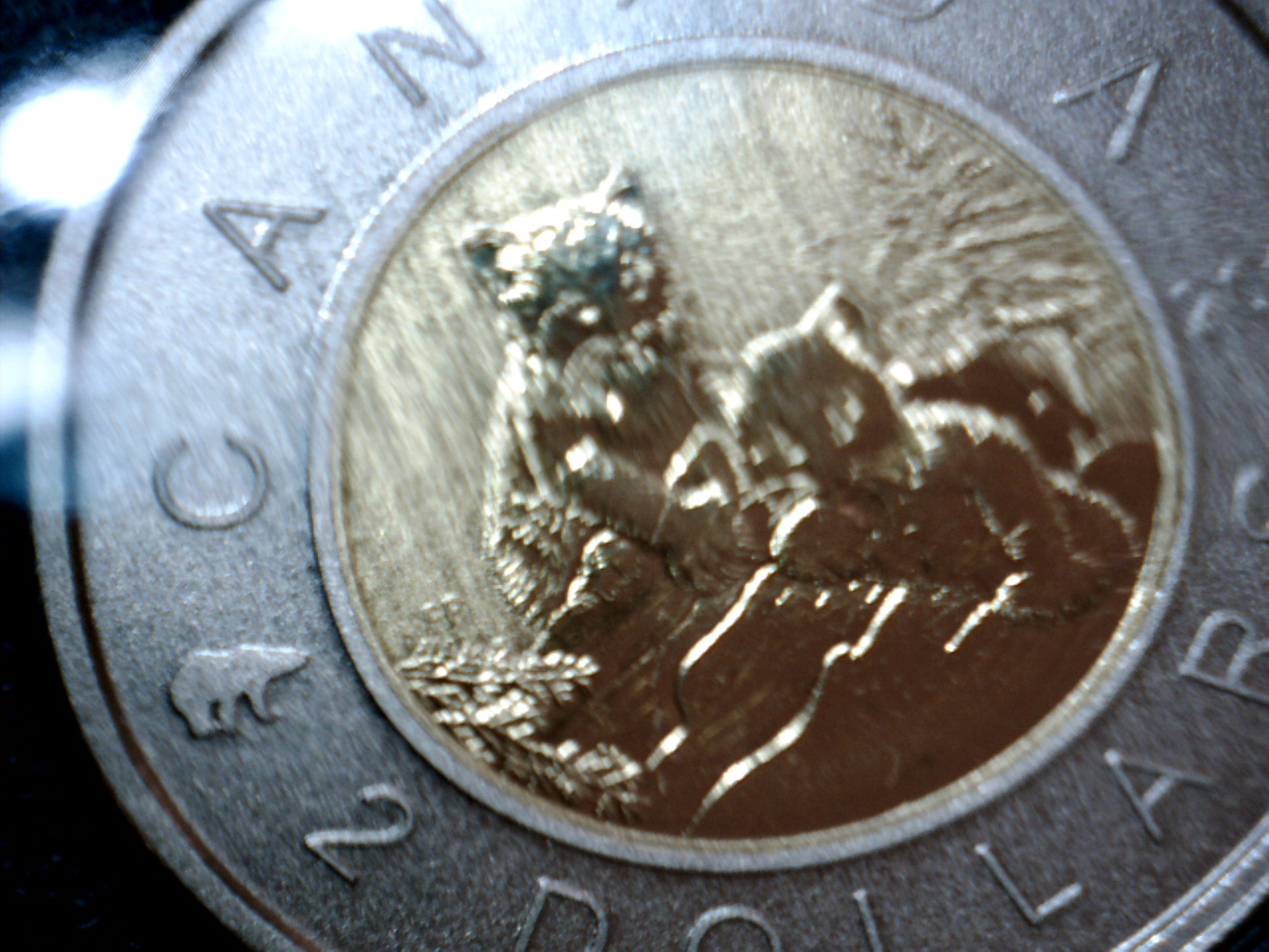 Image142.jpg
