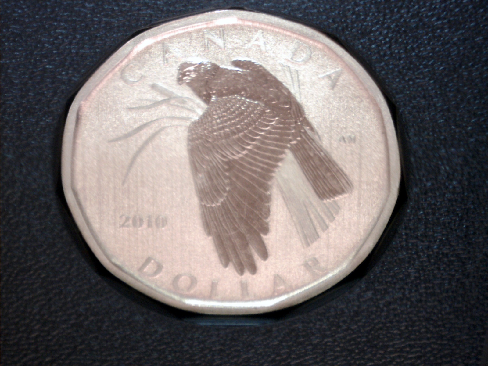 Image141.jpg