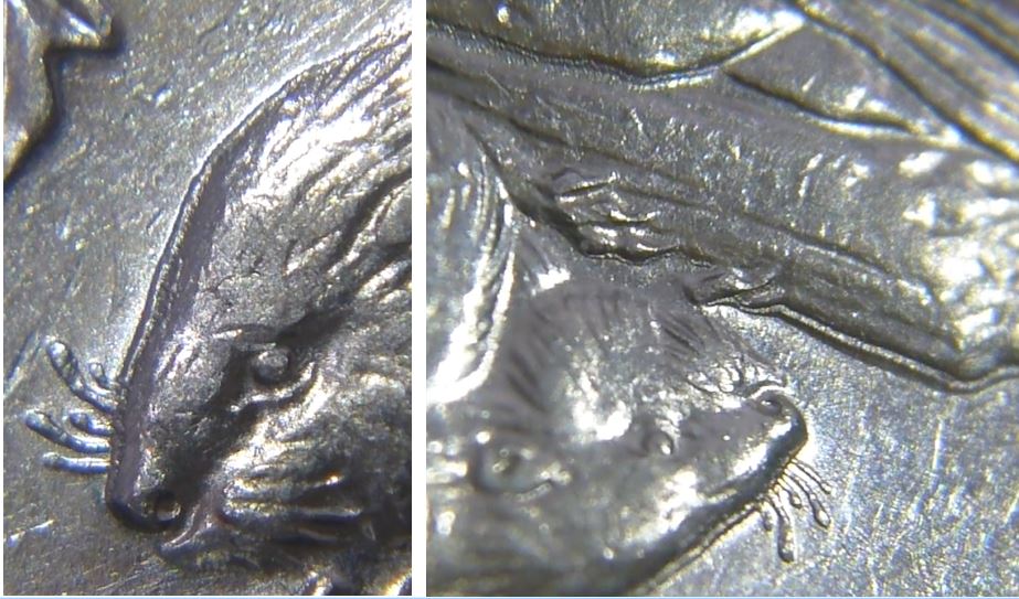 5 Cents 1966-Double castor-coin détérioré-2.JPG