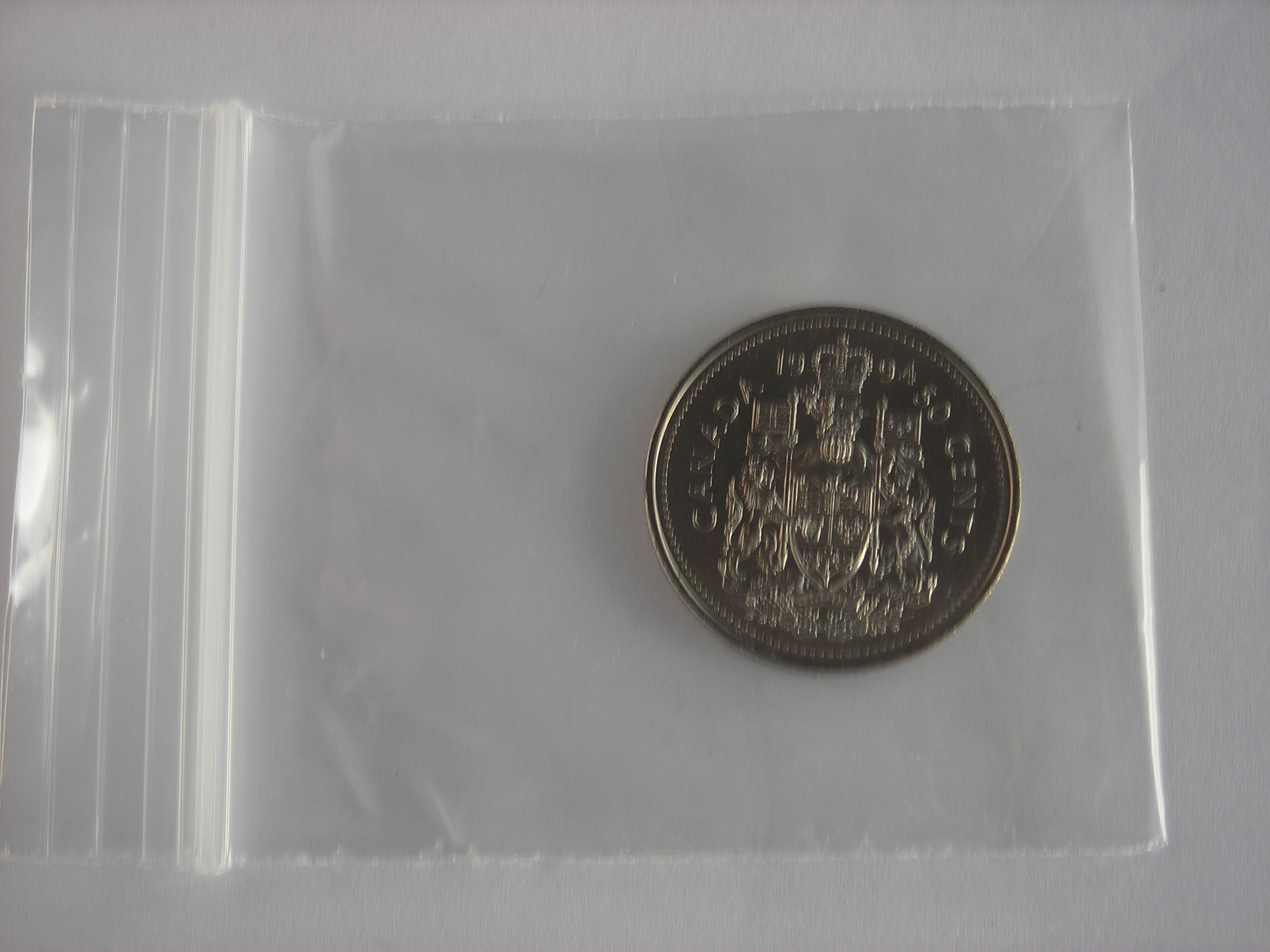 DSCN6303.JPG