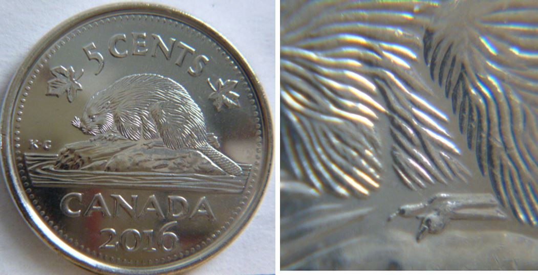 5 Cents 2016-Manque de fourrure-Bare belley-1.JPG
