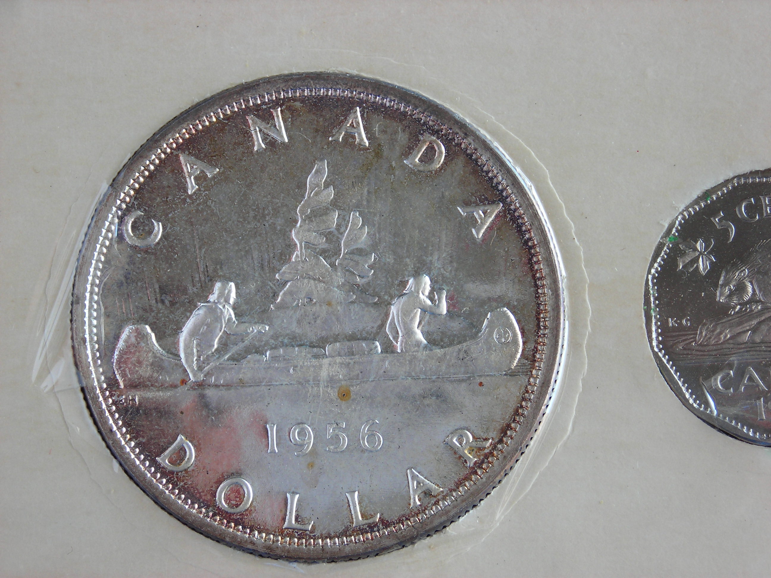 DSCN6400.JPG