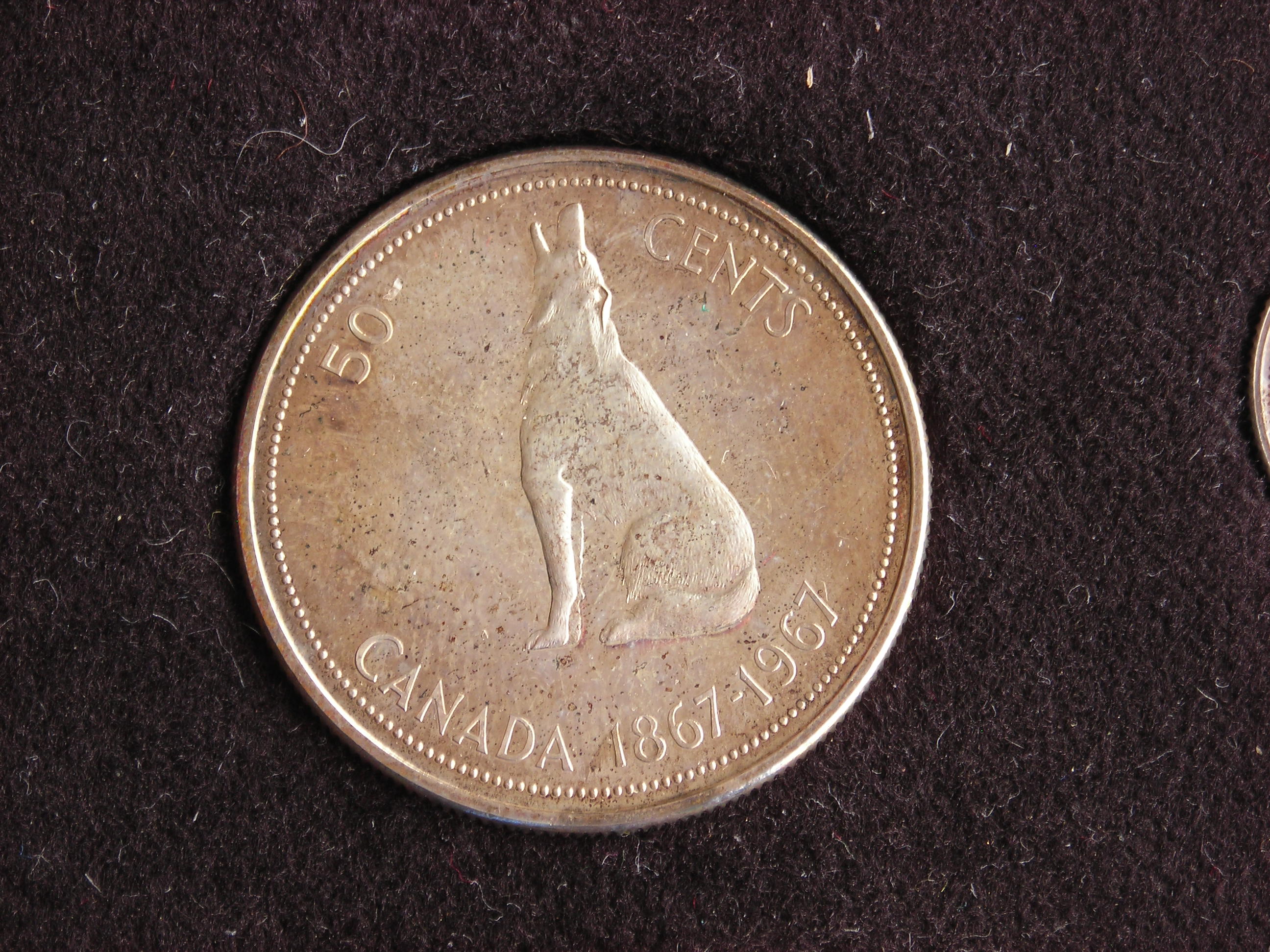 DSCN6416.JPG