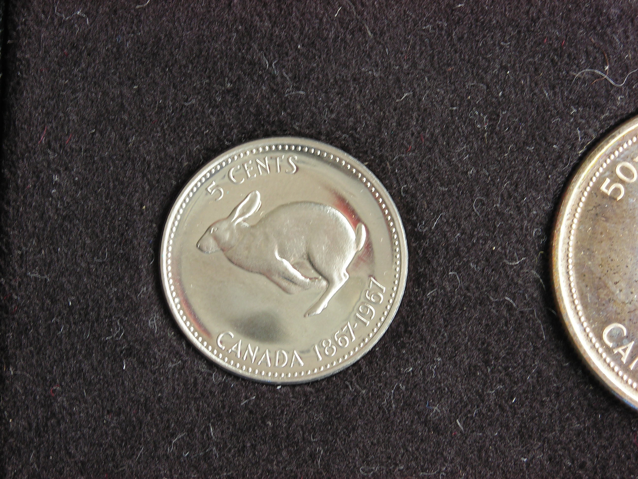 DSCN6417.JPG