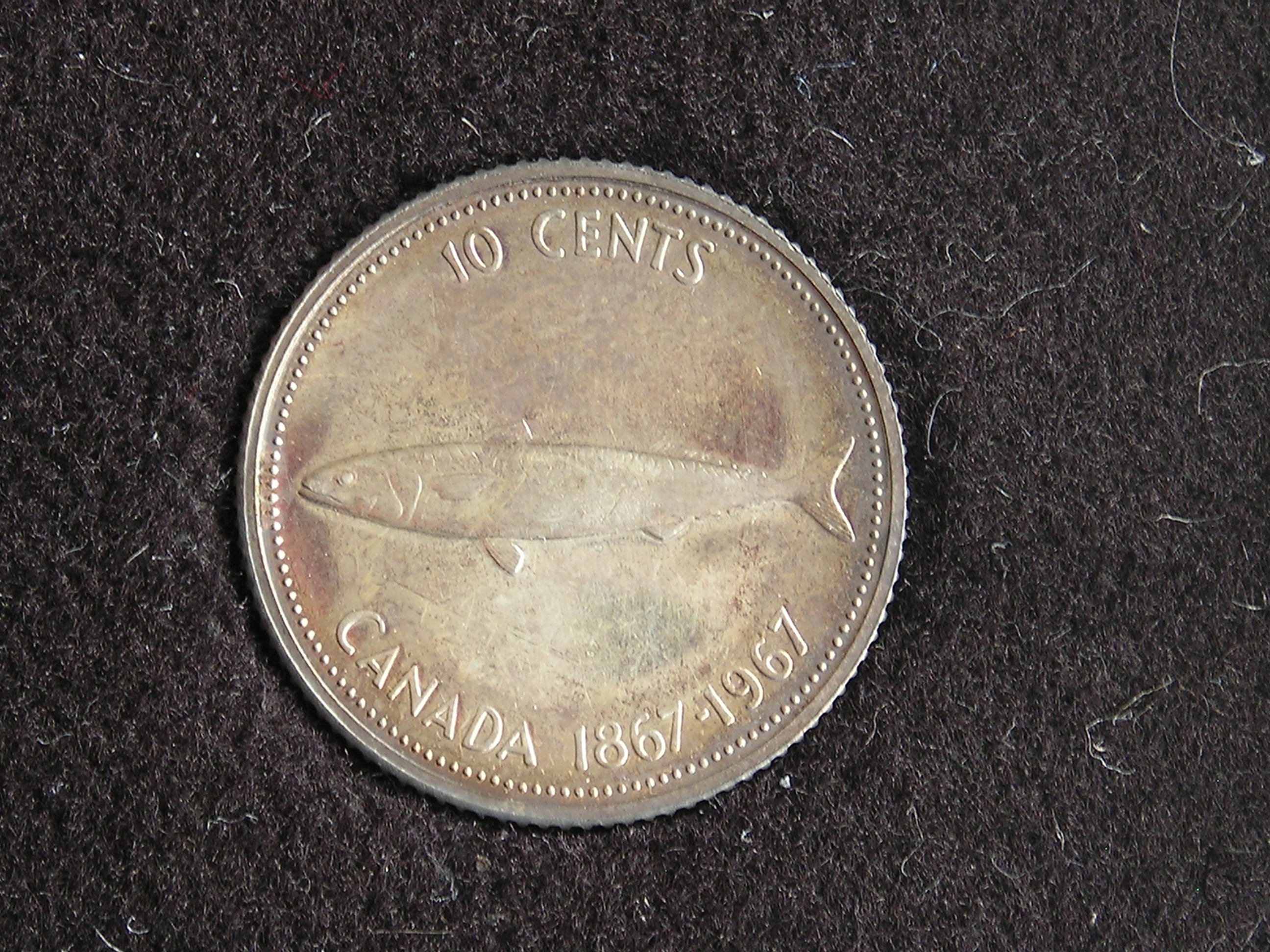 DSCN6418.JPG