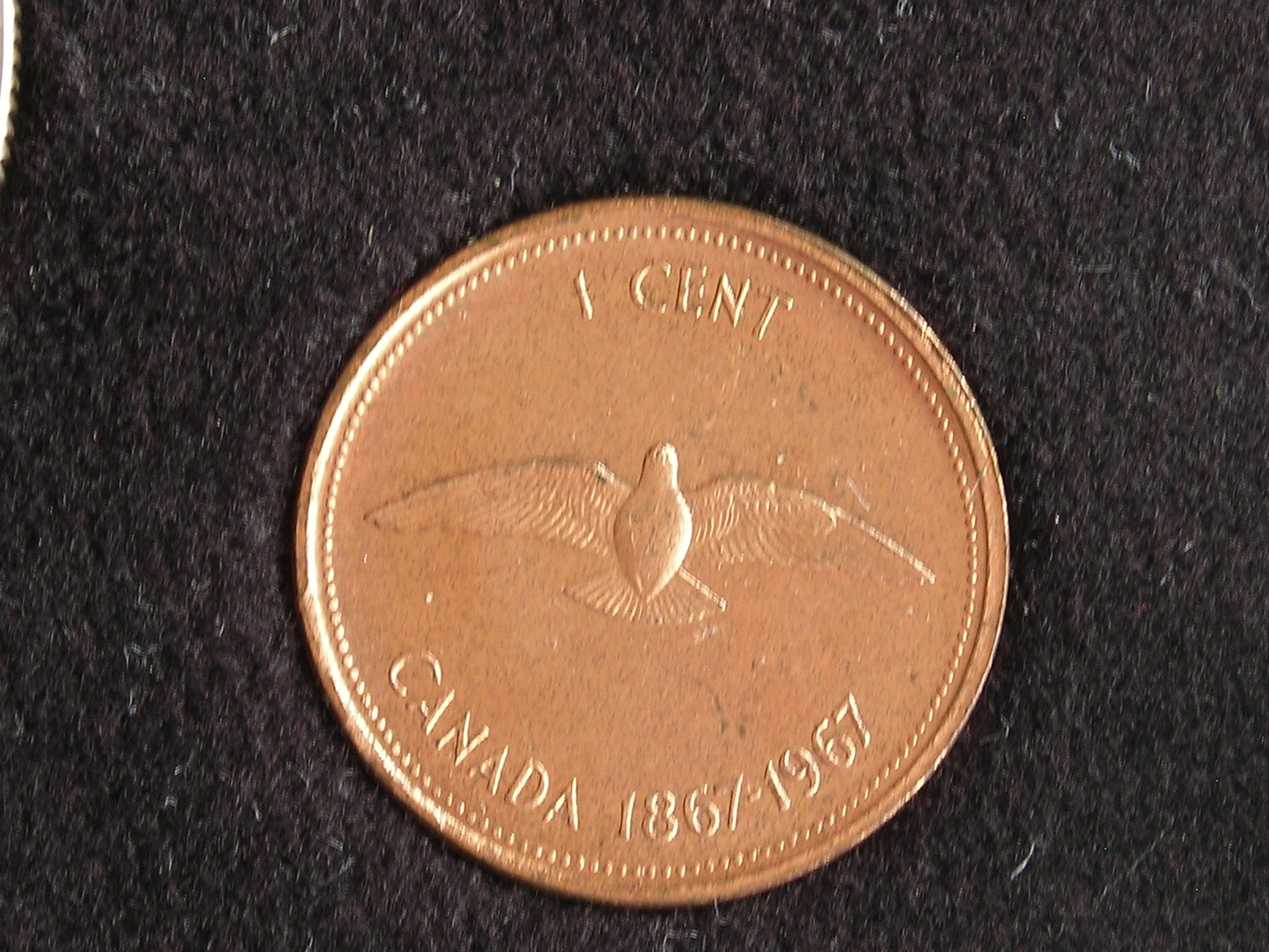 DSCN6419.JPG