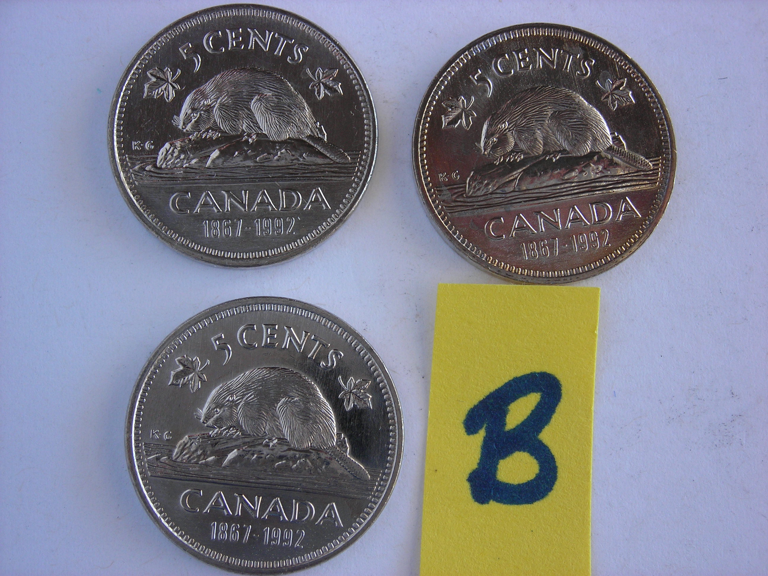 DSCN6465.JPG