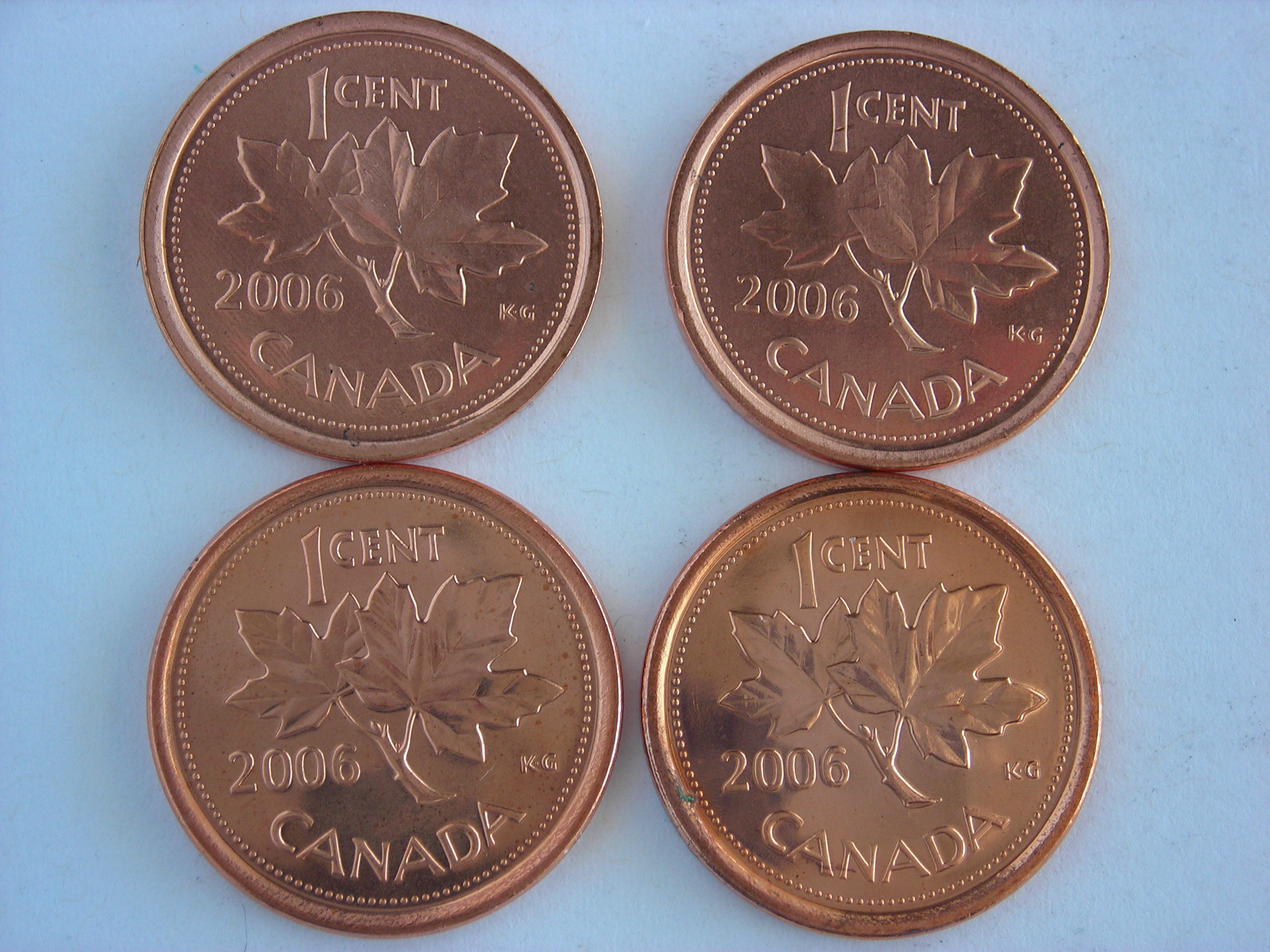 DSCN6474.JPG