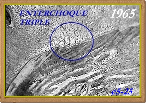 ¢5-25 (1965).jpg