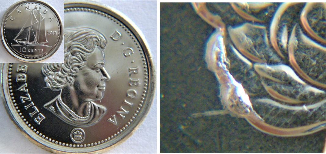 10 Cents 2018-Éclat du coin cheveux effigie.JPG