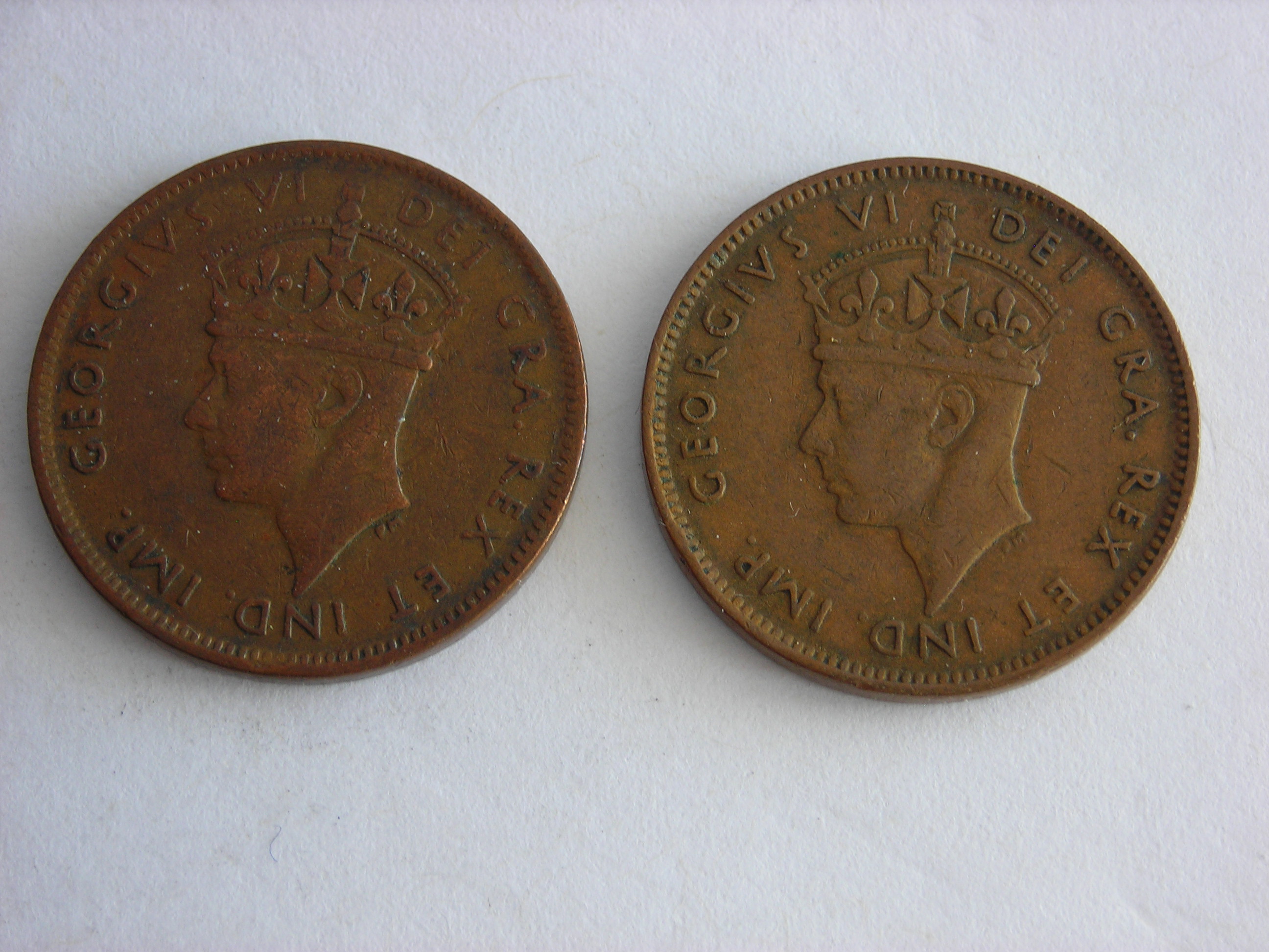 DSCN6511.JPG