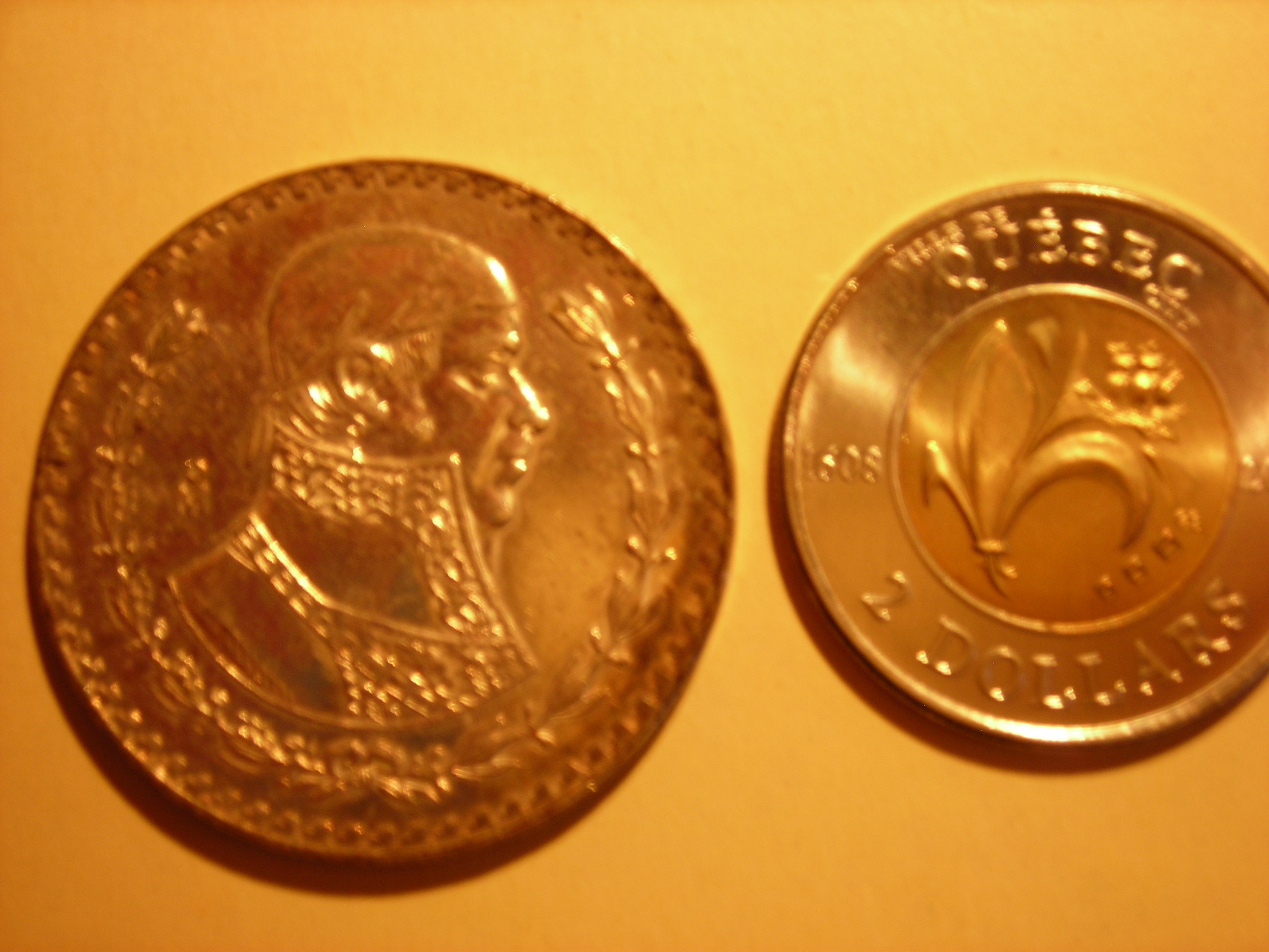 DSCN6520.JPG