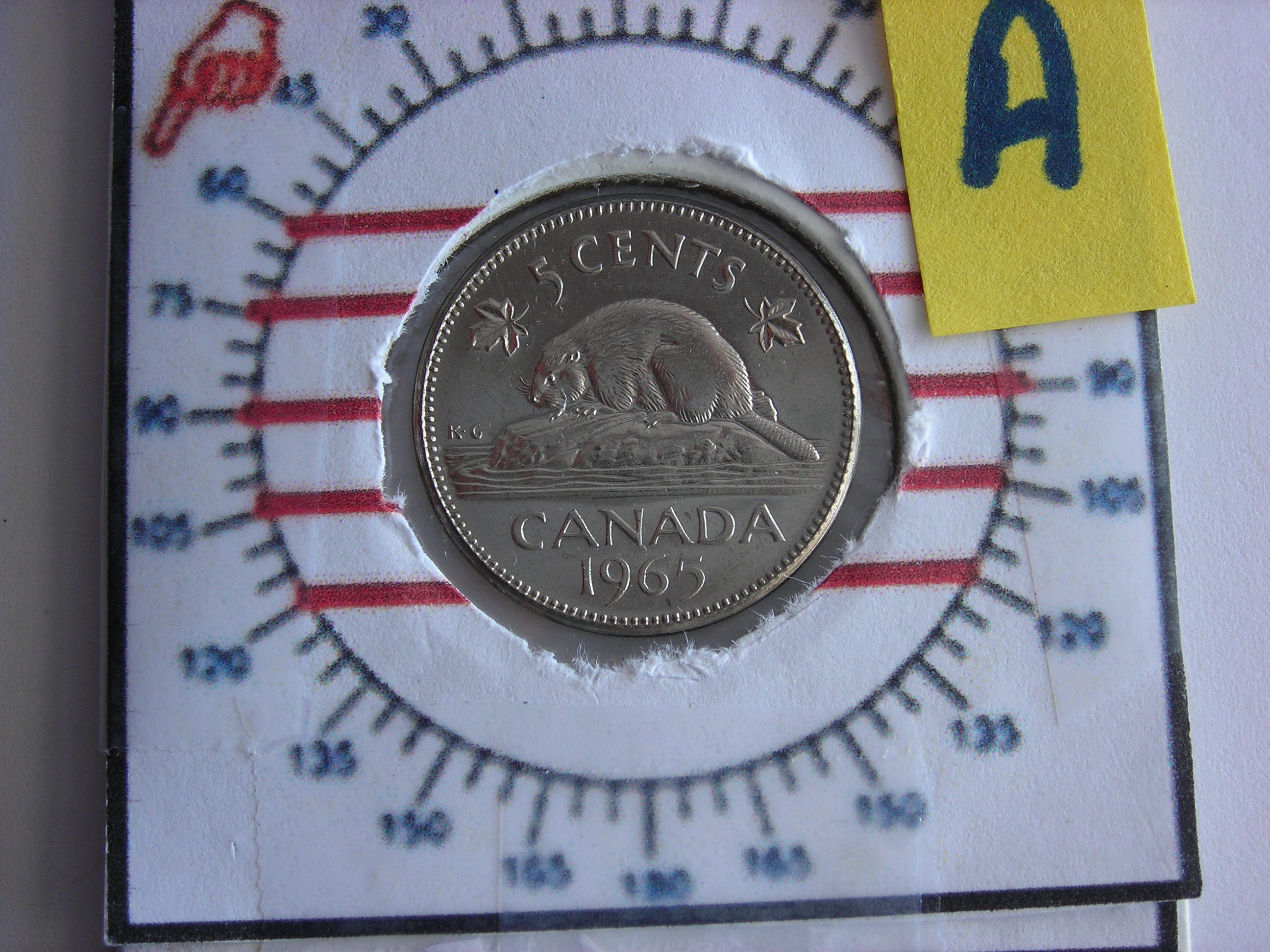 DSCN6522.JPG