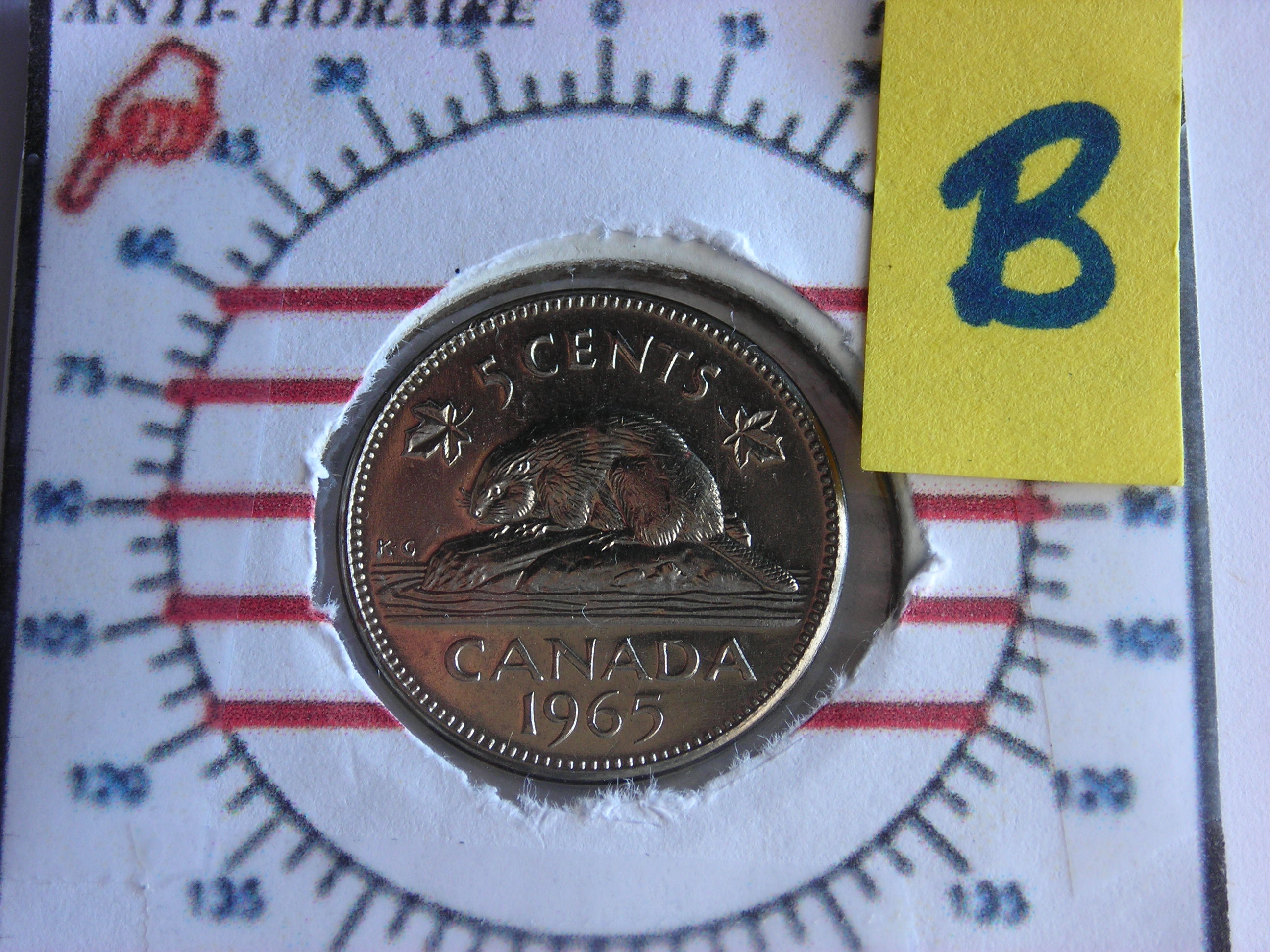 DSCN6526.JPG