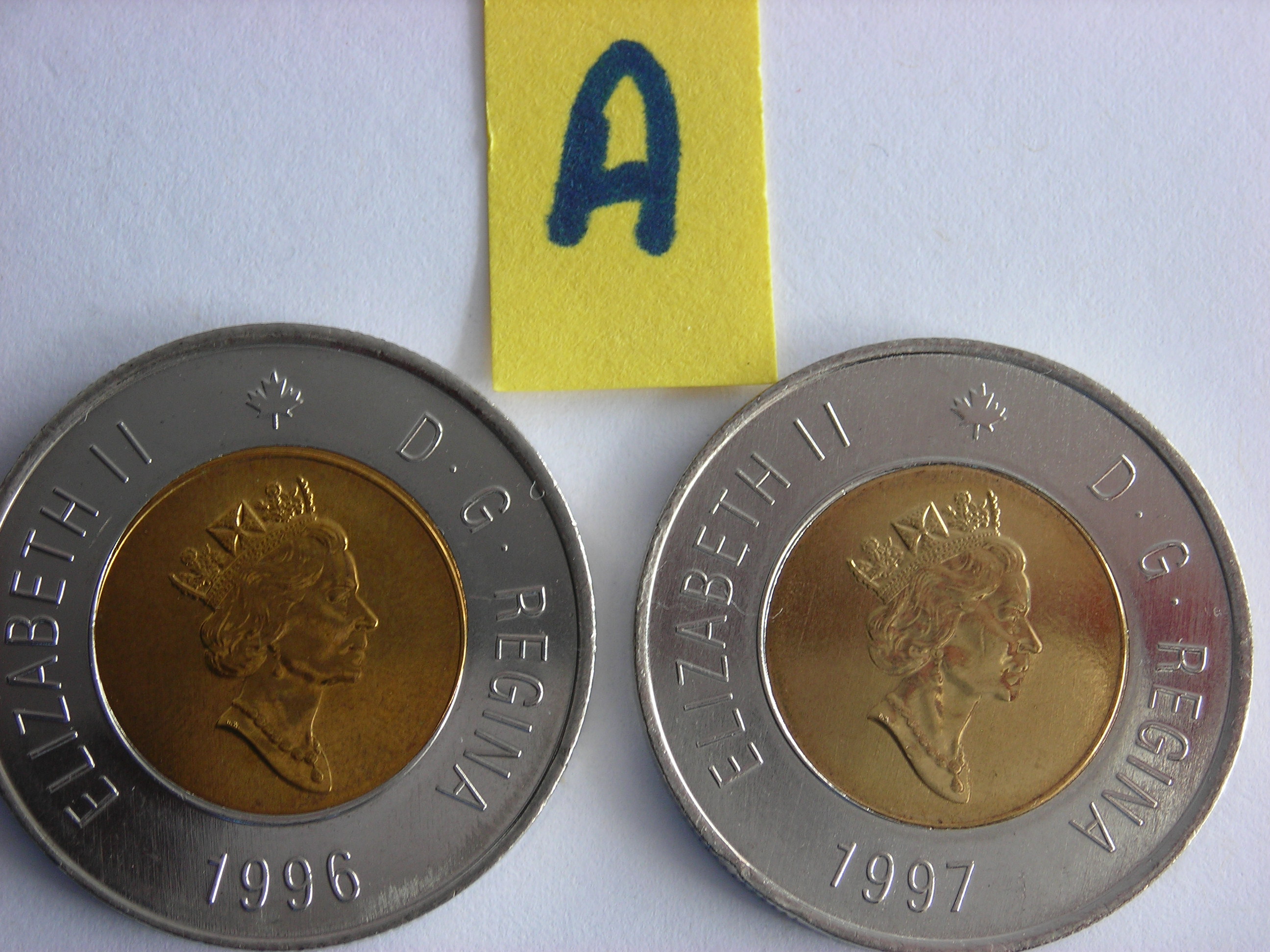 DSCN6551.JPG
