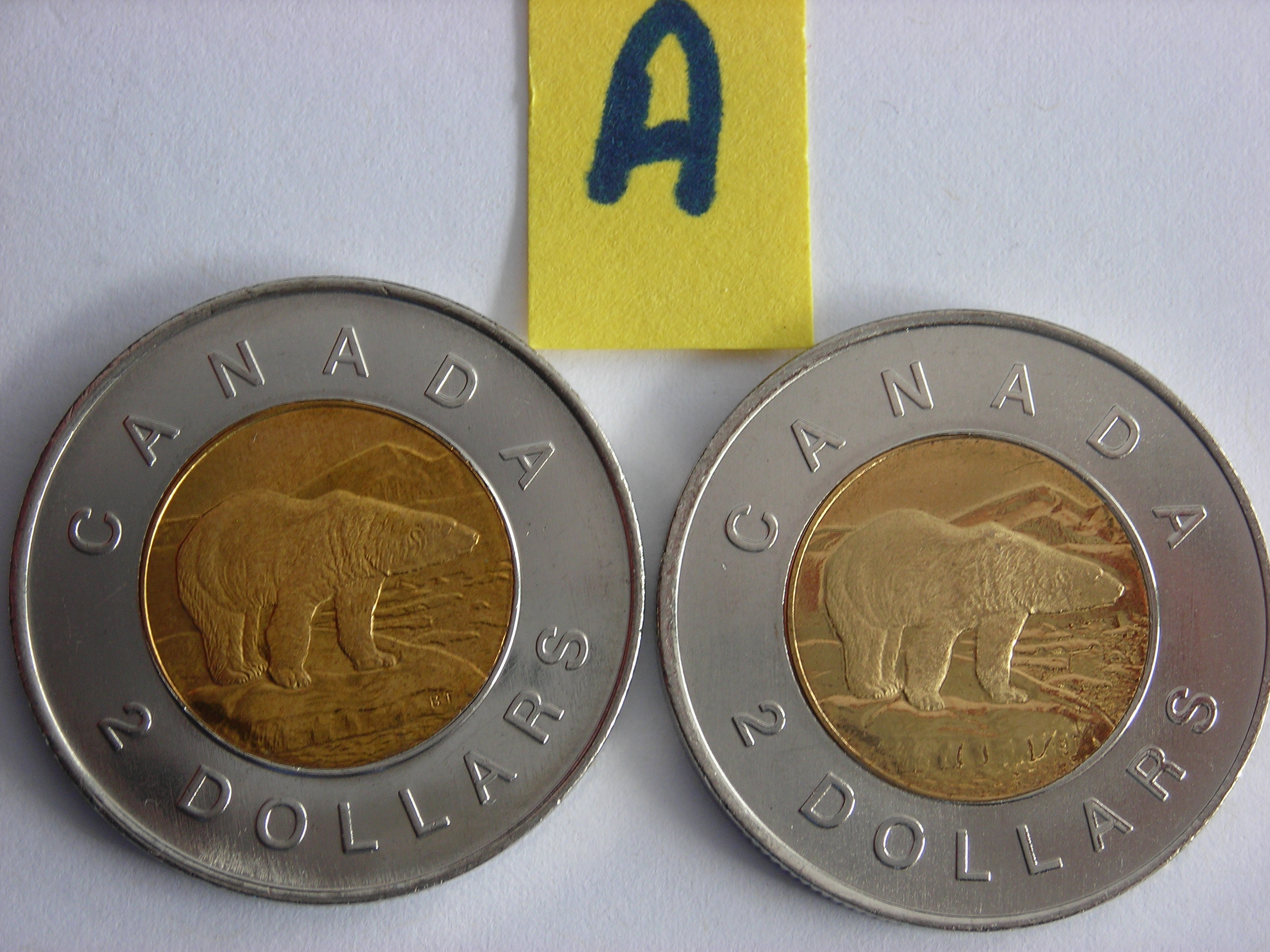 DSCN6552.JPG