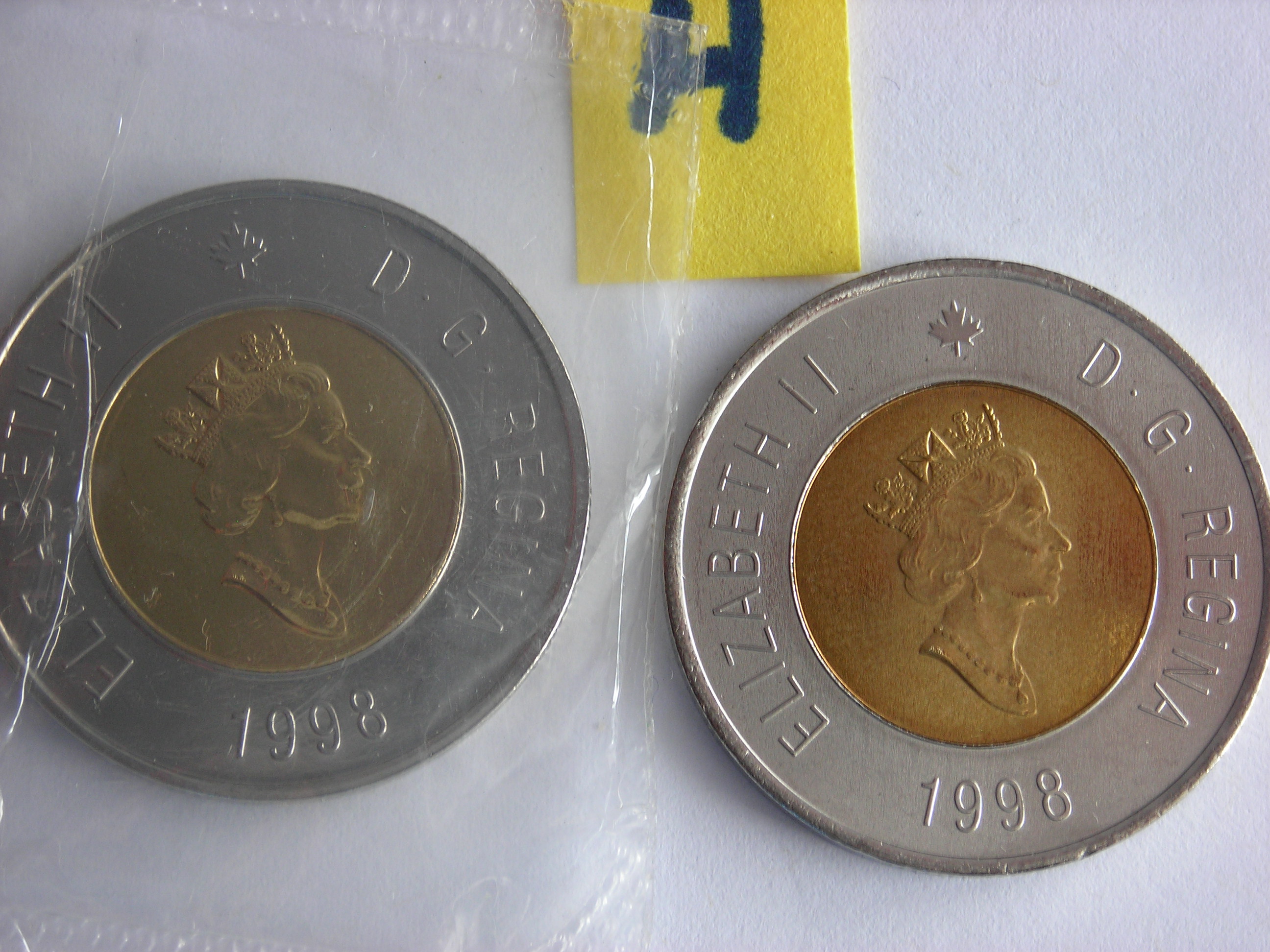DSCN6553.JPG