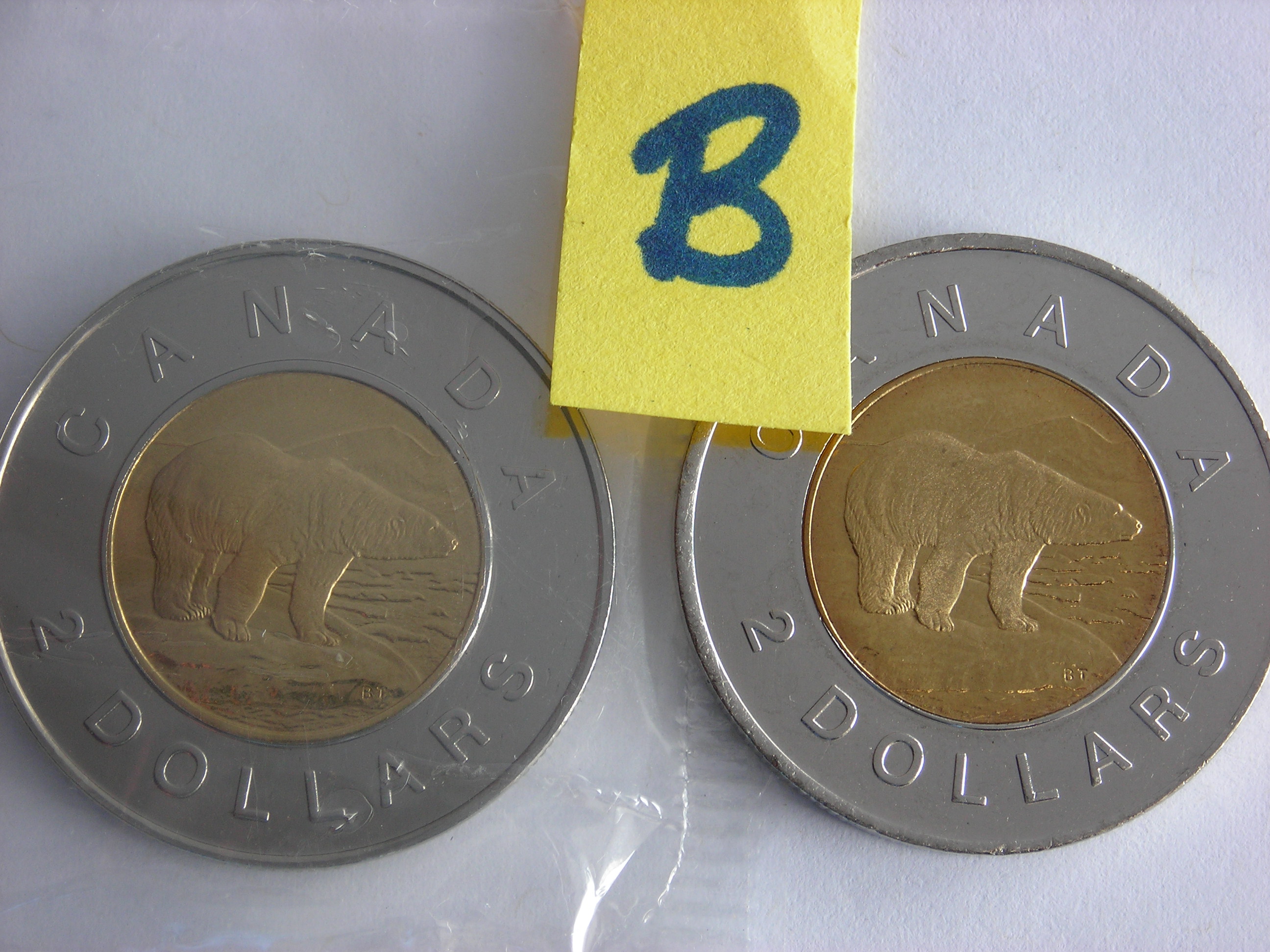 DSCN6559.JPG