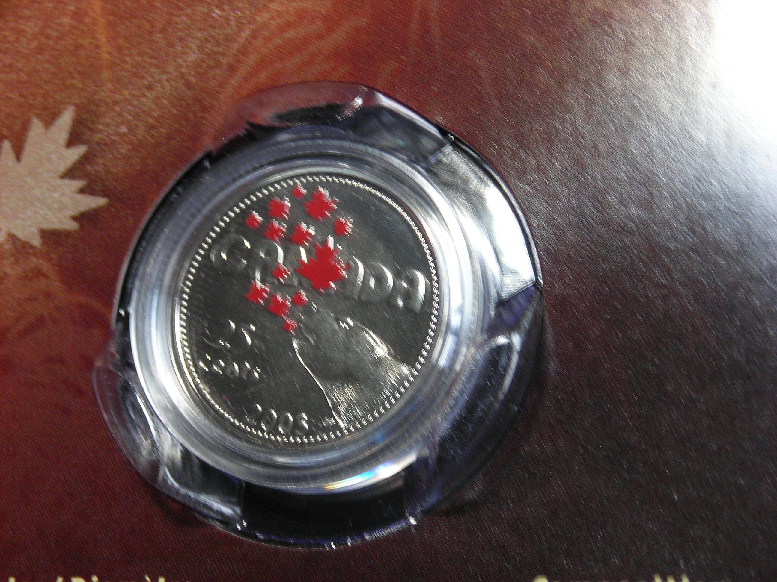 DSCN6602.JPG