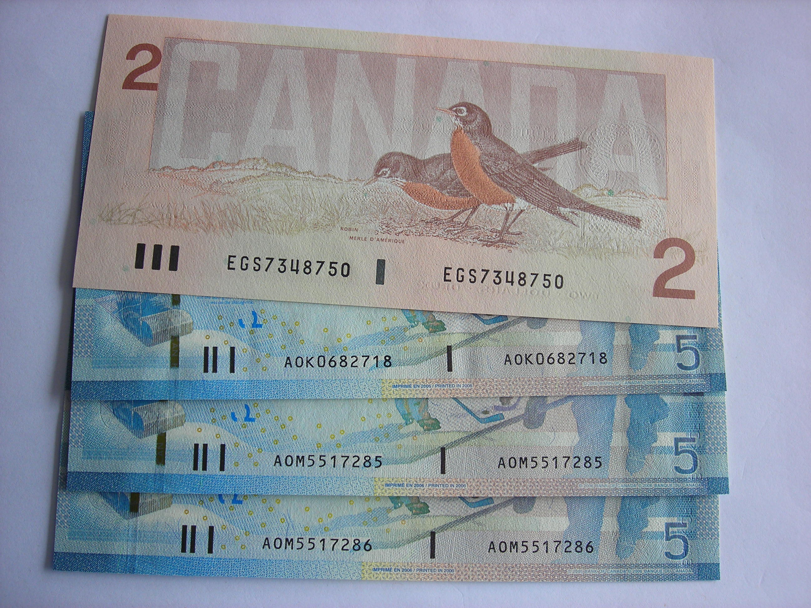DSCN6730.JPG
