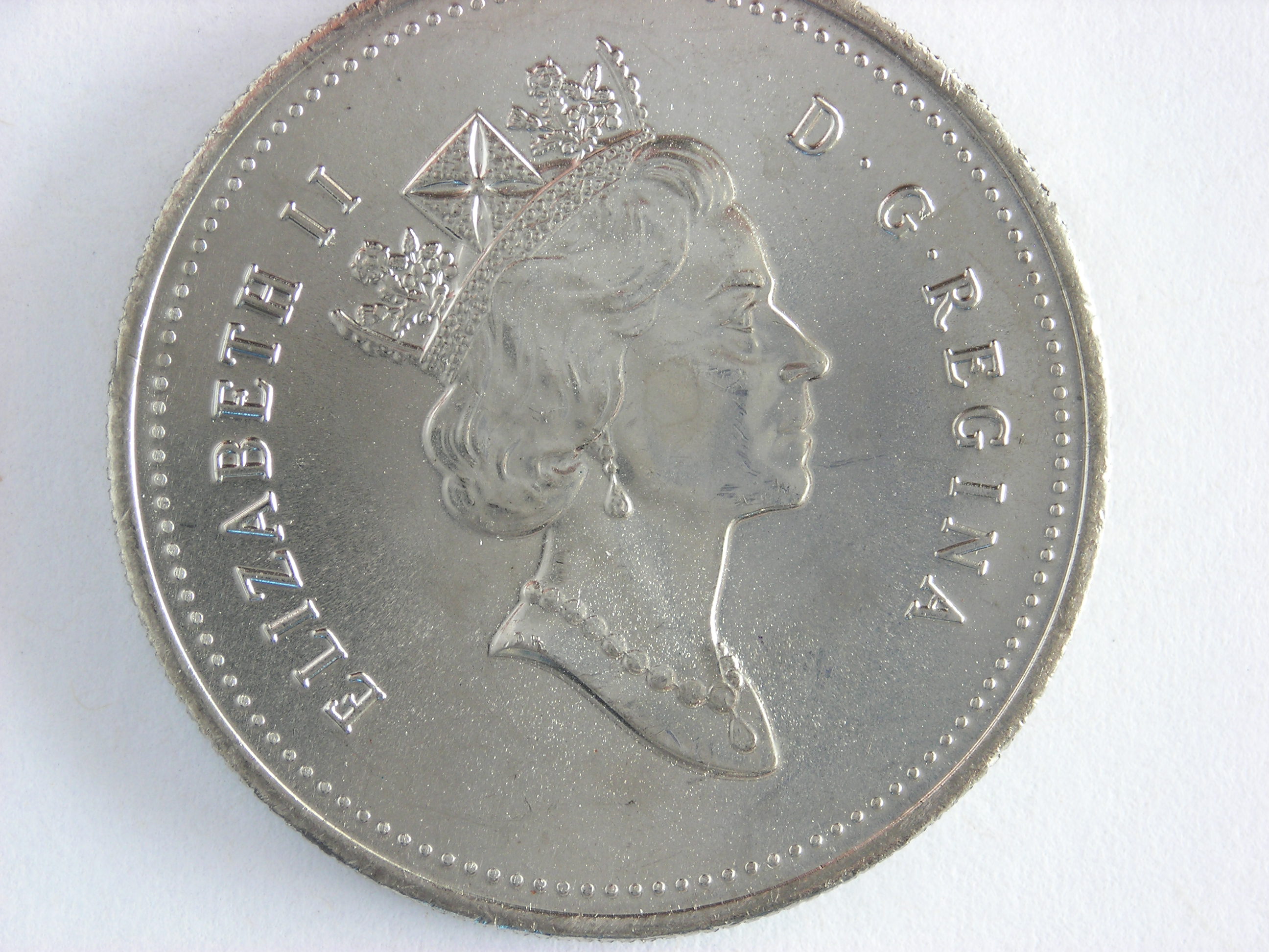 DSCN6795.JPG