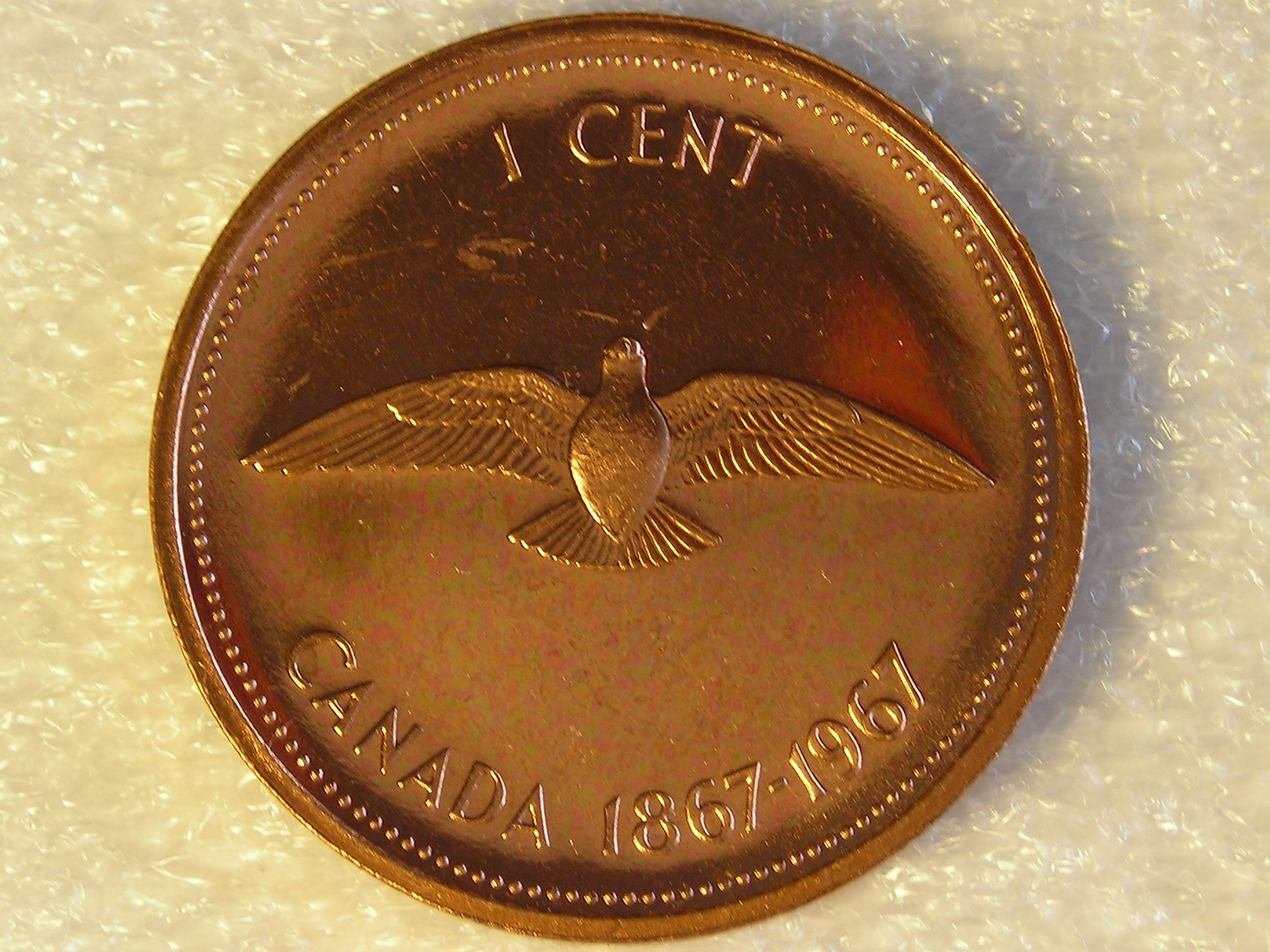 DSCN6878.JPG