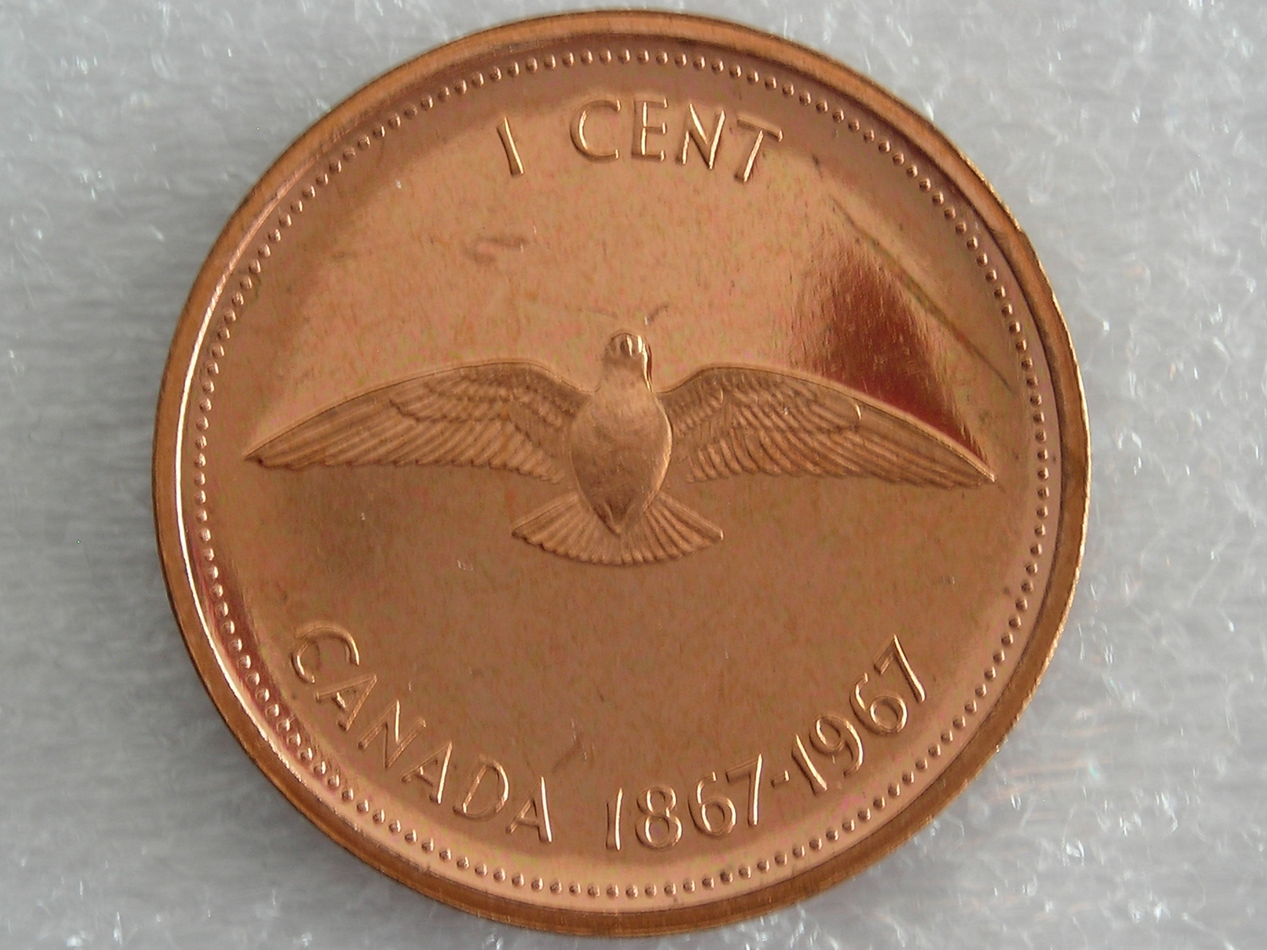 DSCN6879.JPG