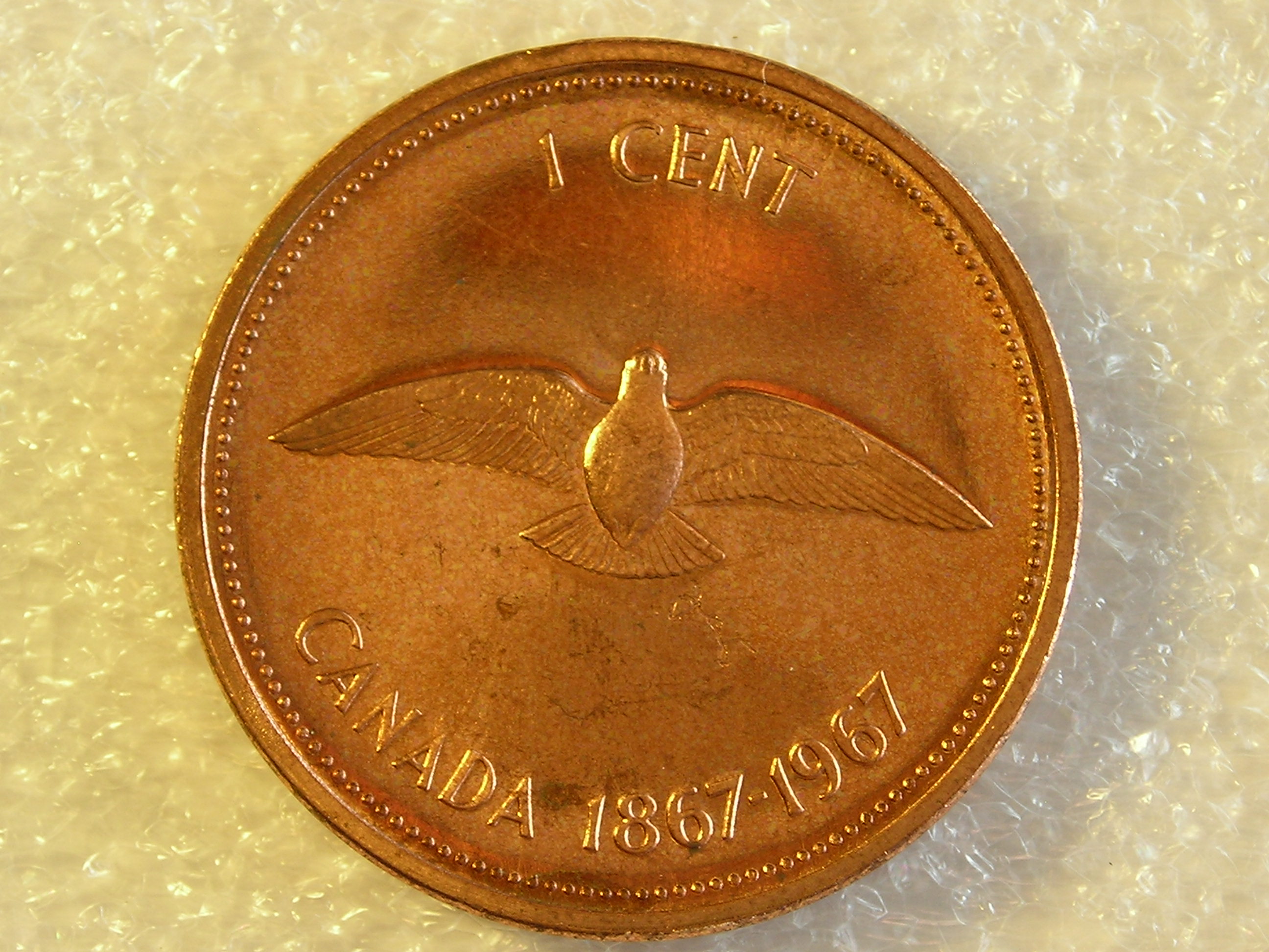 DSCN6881.JPG