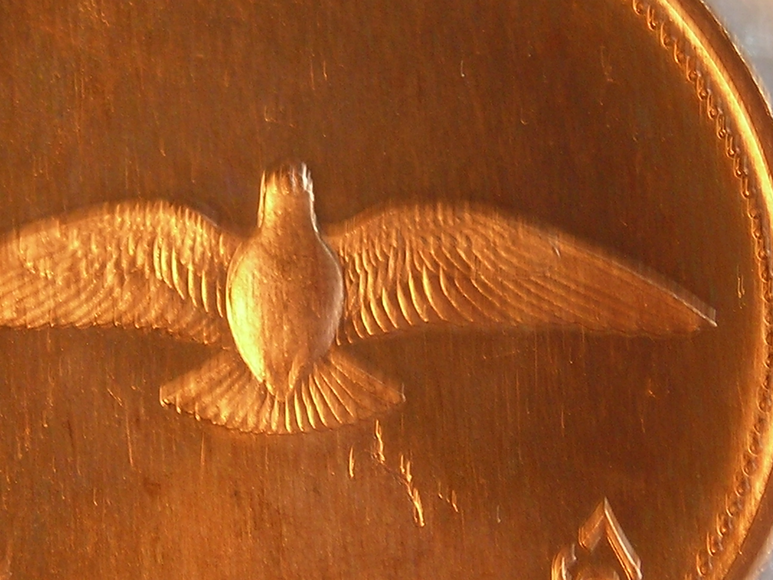 DSCN6886.JPG
