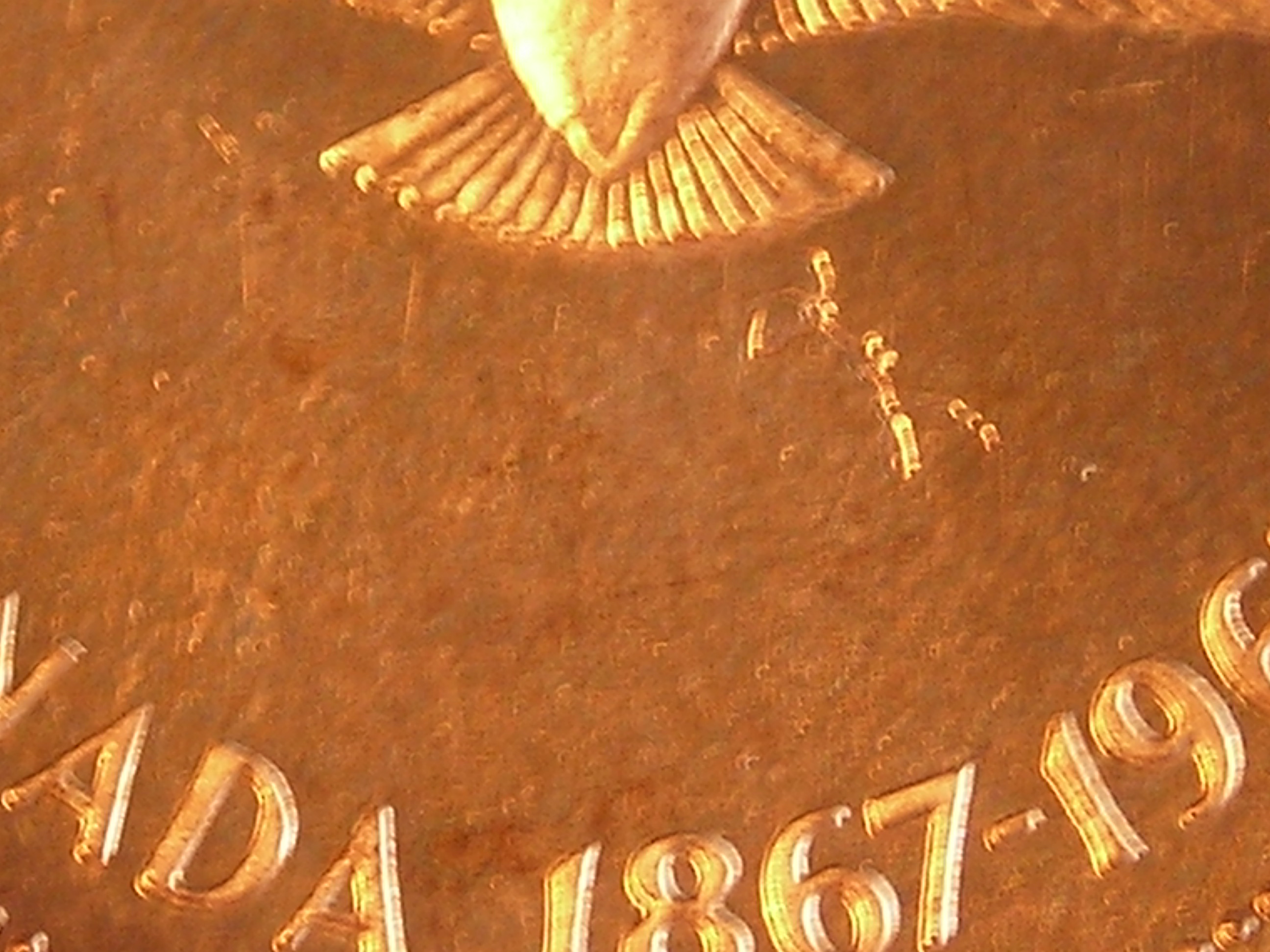 DSCN6887.JPG