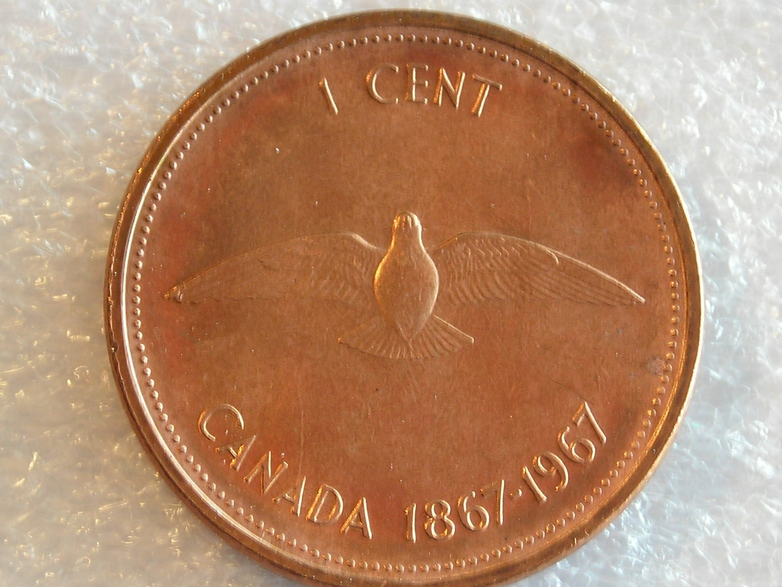 DSCN6892.JPG
