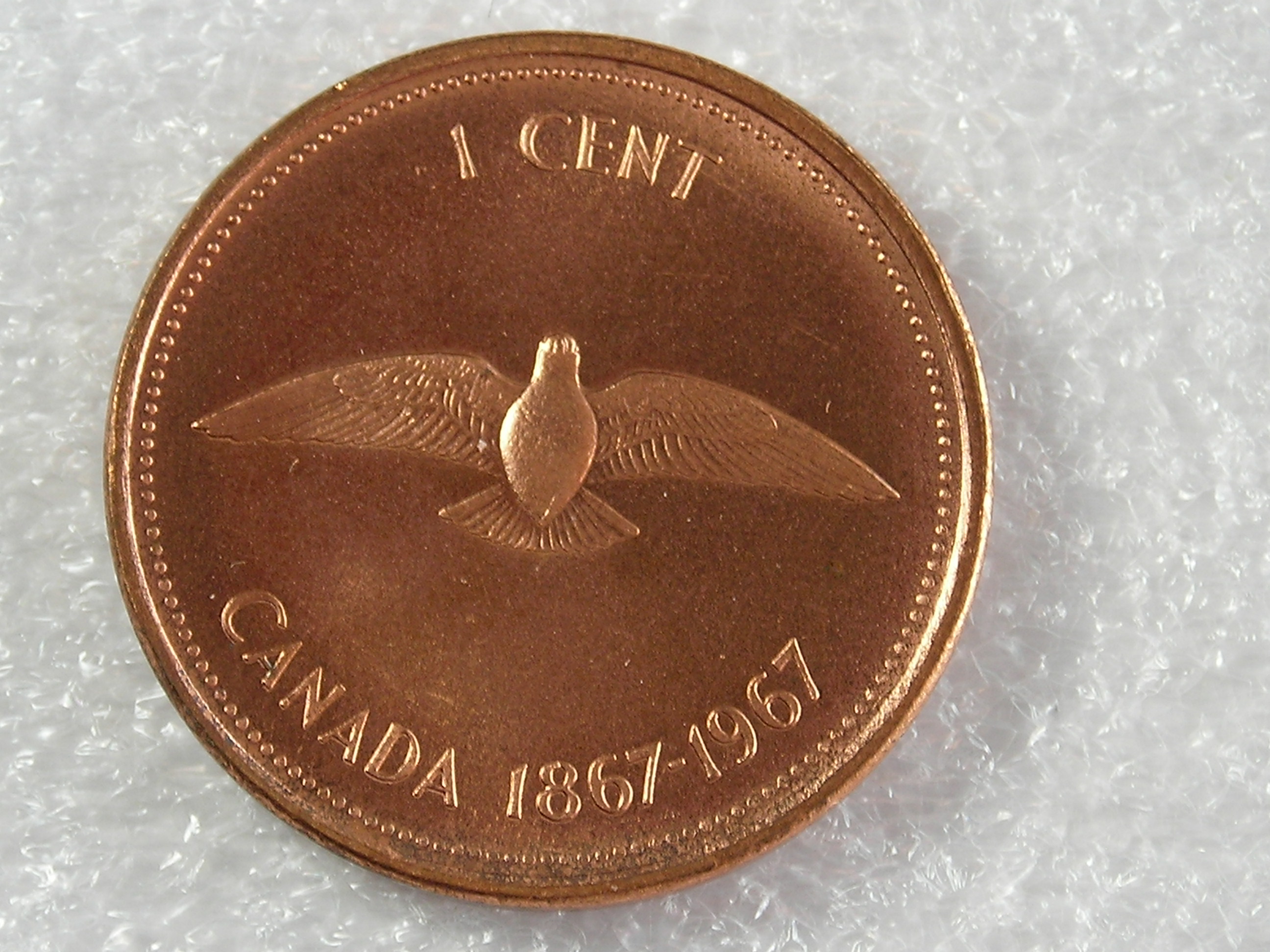 DSCN6897.JPG
