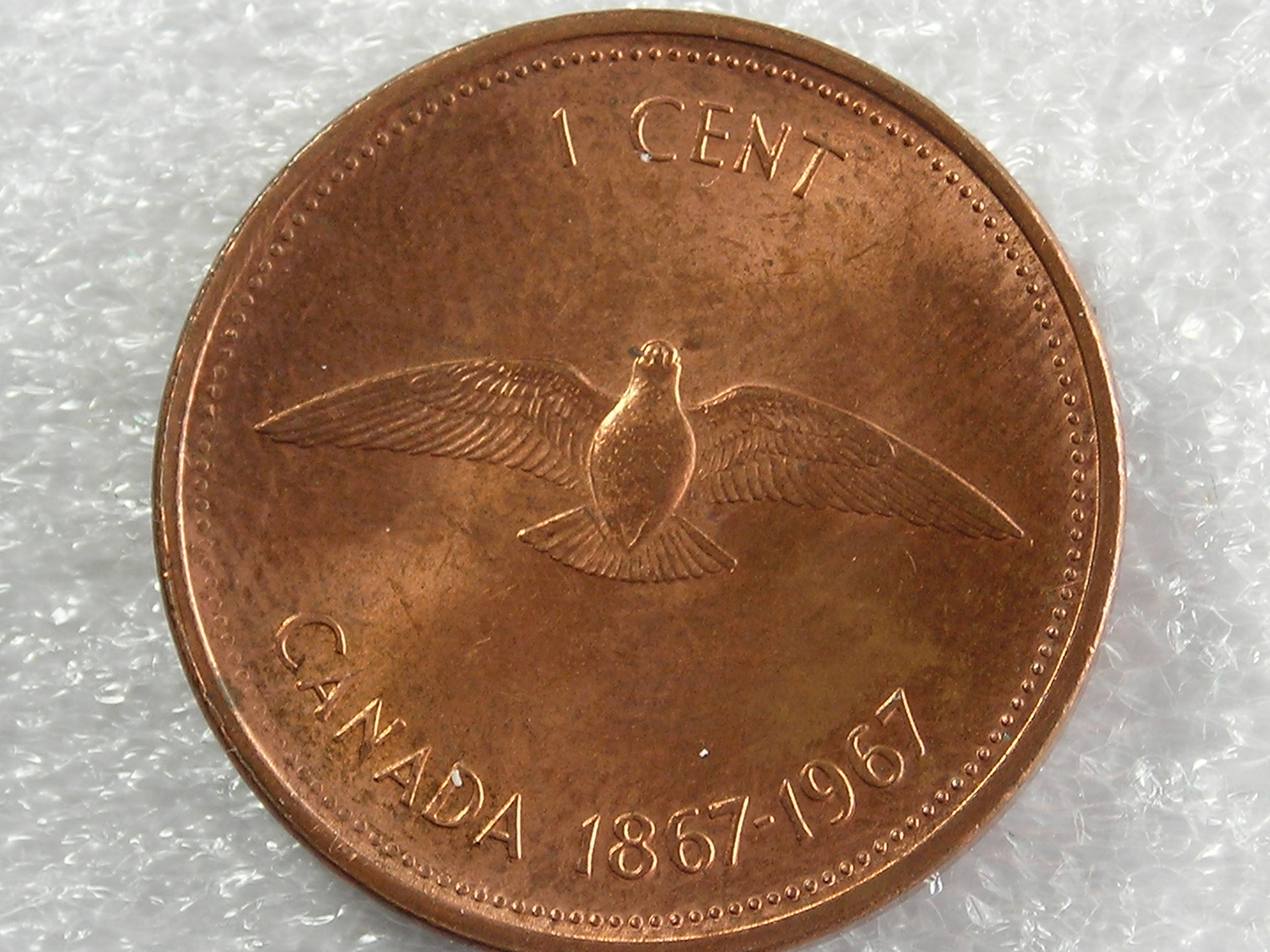 DSCN6900.JPG