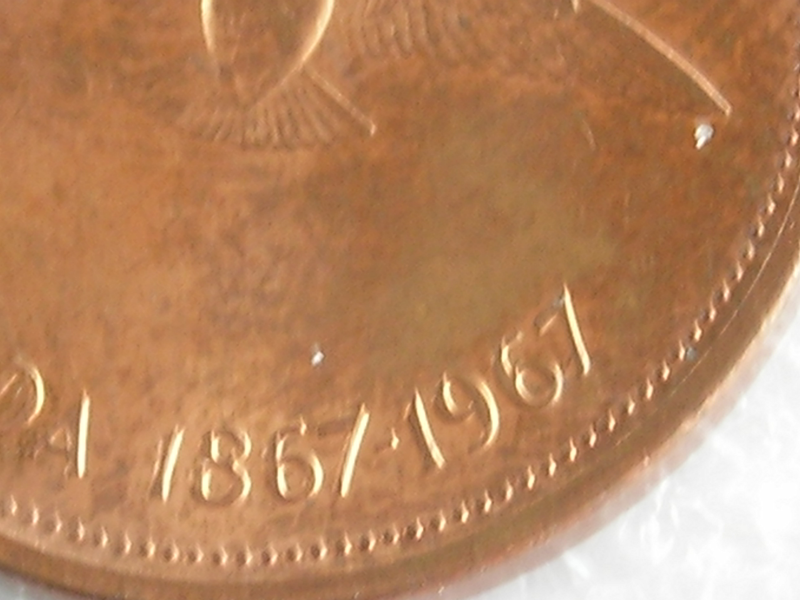 DSCN6905.JPG